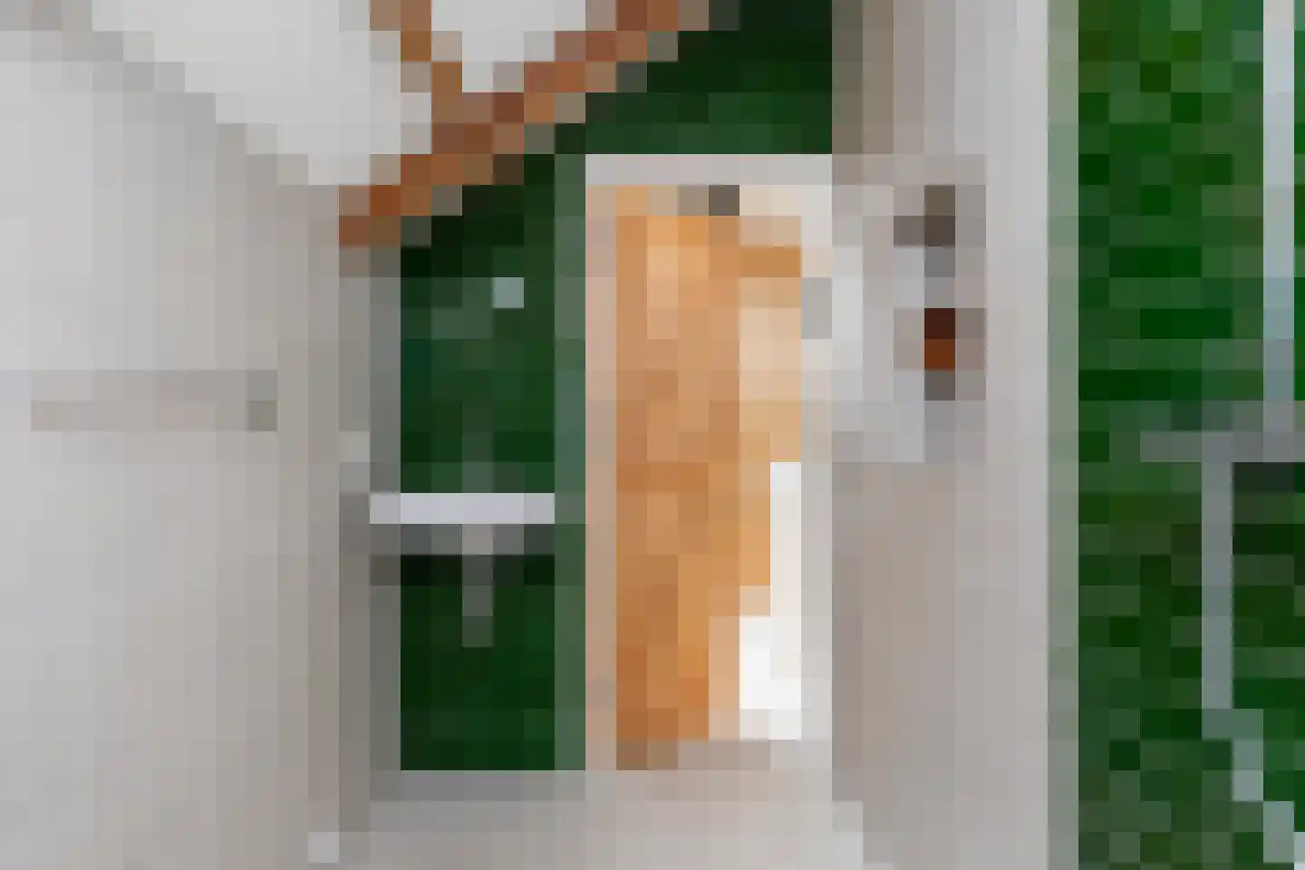 Hoofdstraat 8 Meedhuizen thumbnail 25