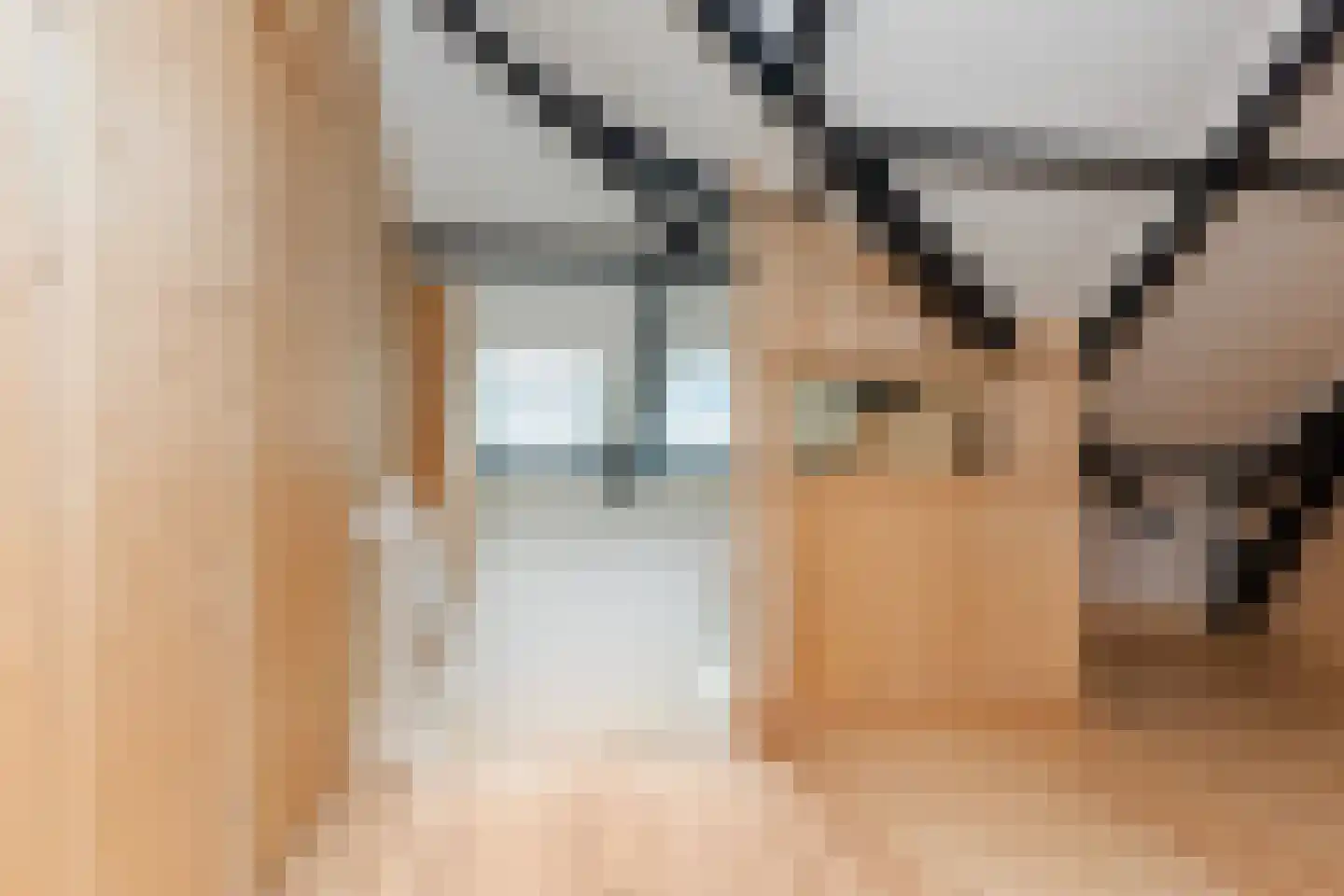 Hoofdstraat 8 Meedhuizen thumbnail 26