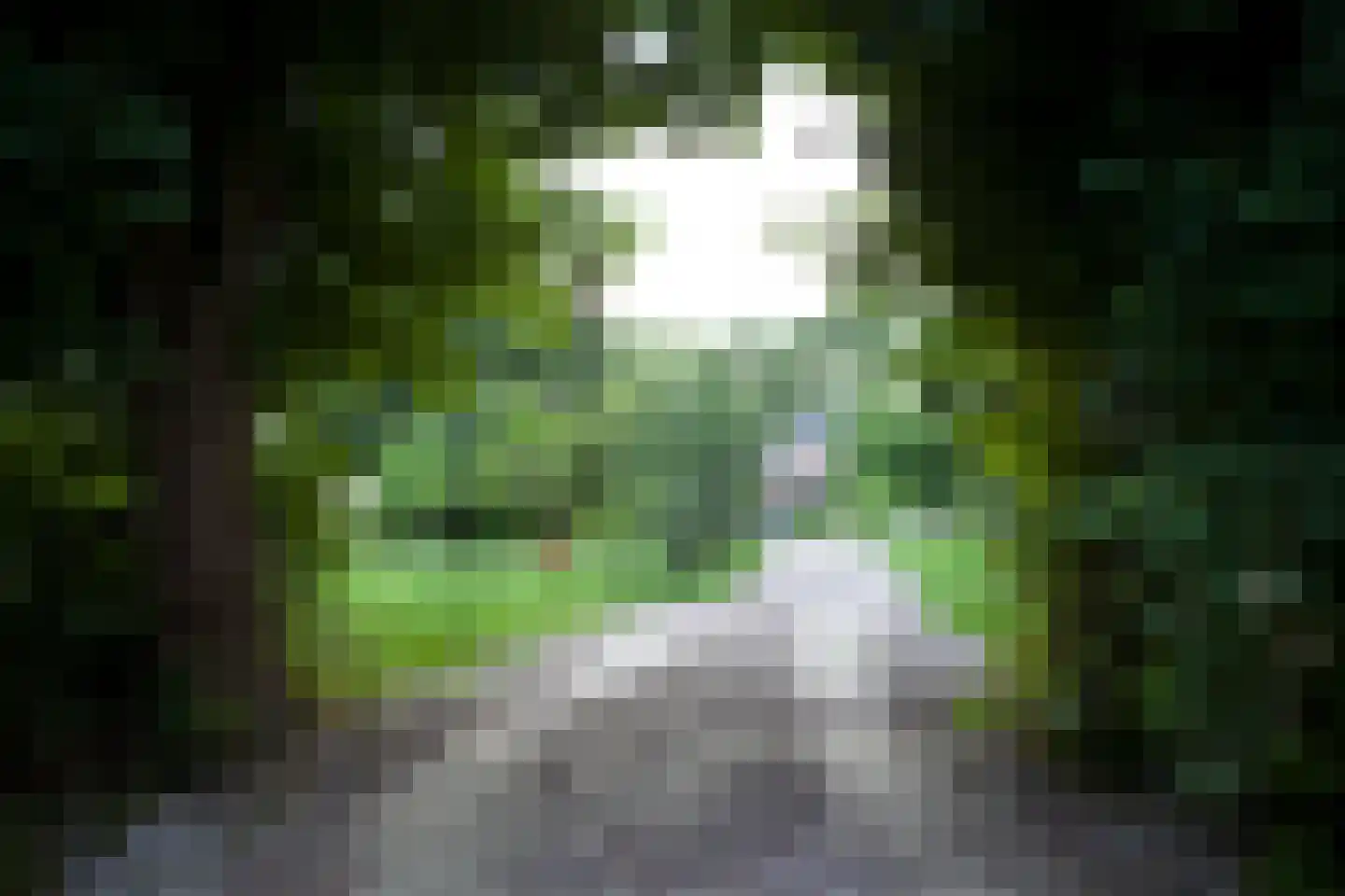 Hoofdstraat 8 Meedhuizen thumbnail 37