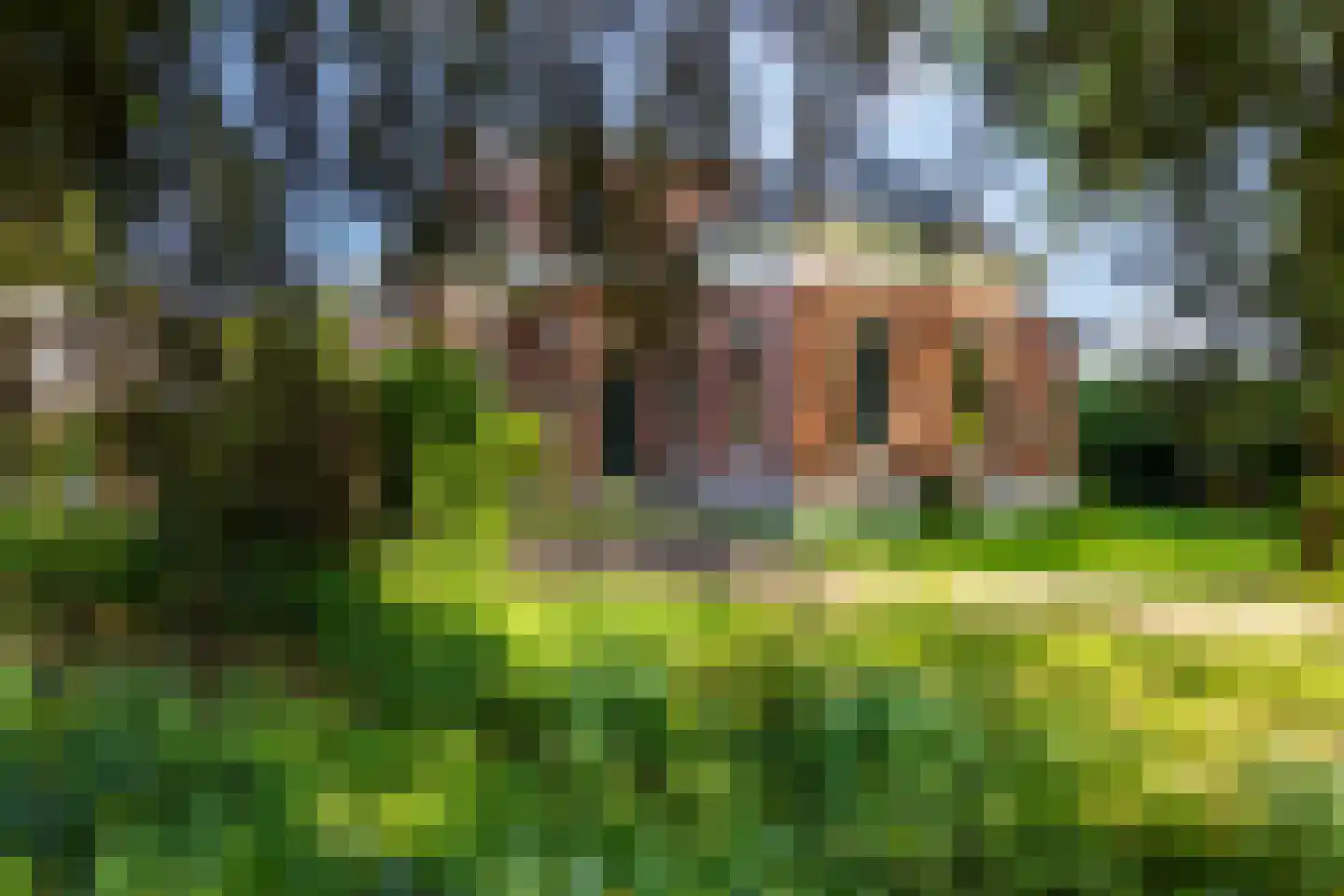 Hoofdstraat 8 Meedhuizen thumbnail 39