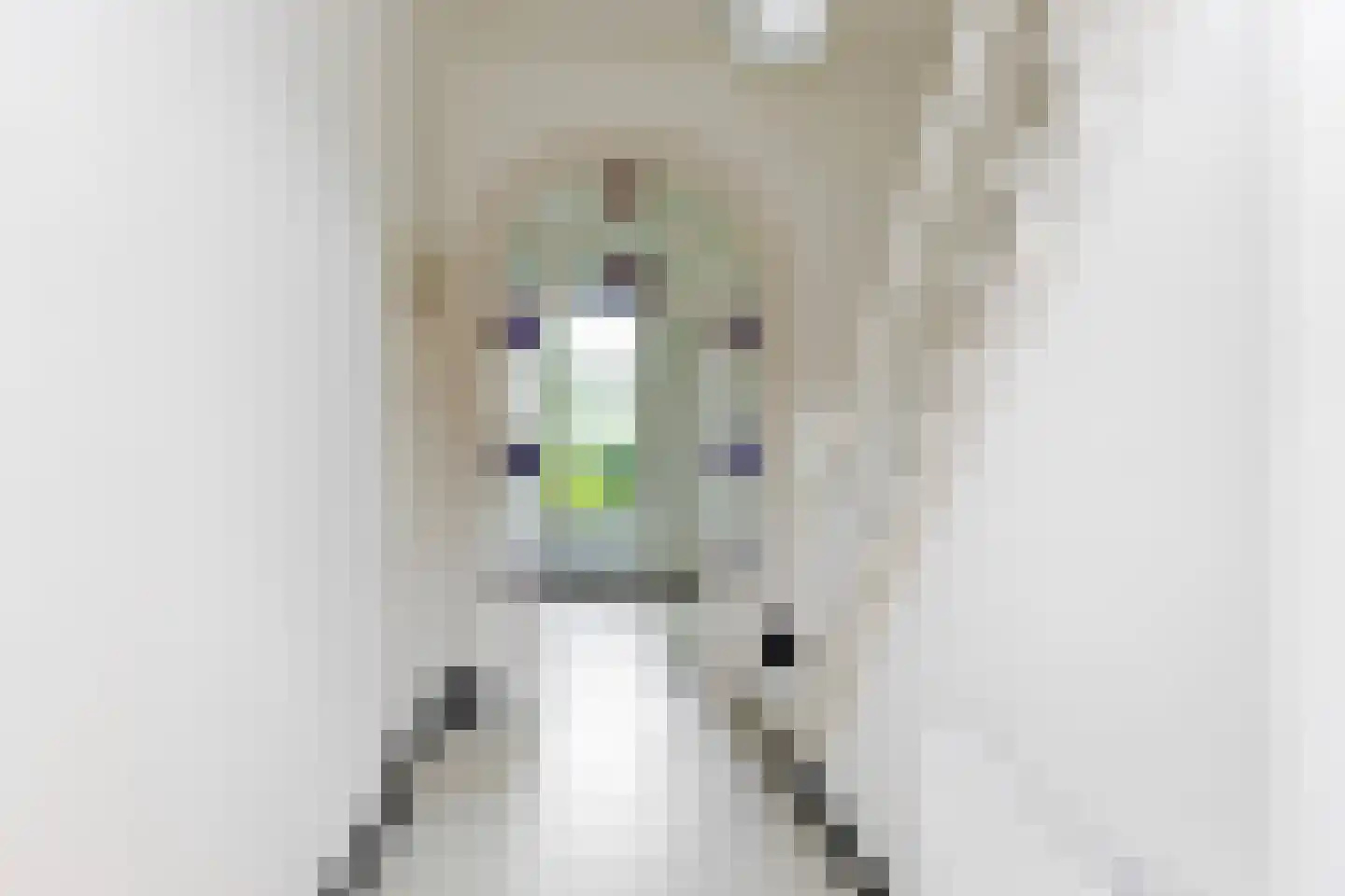 Hoofdstraat 8 Meedhuizen thumbnail 4