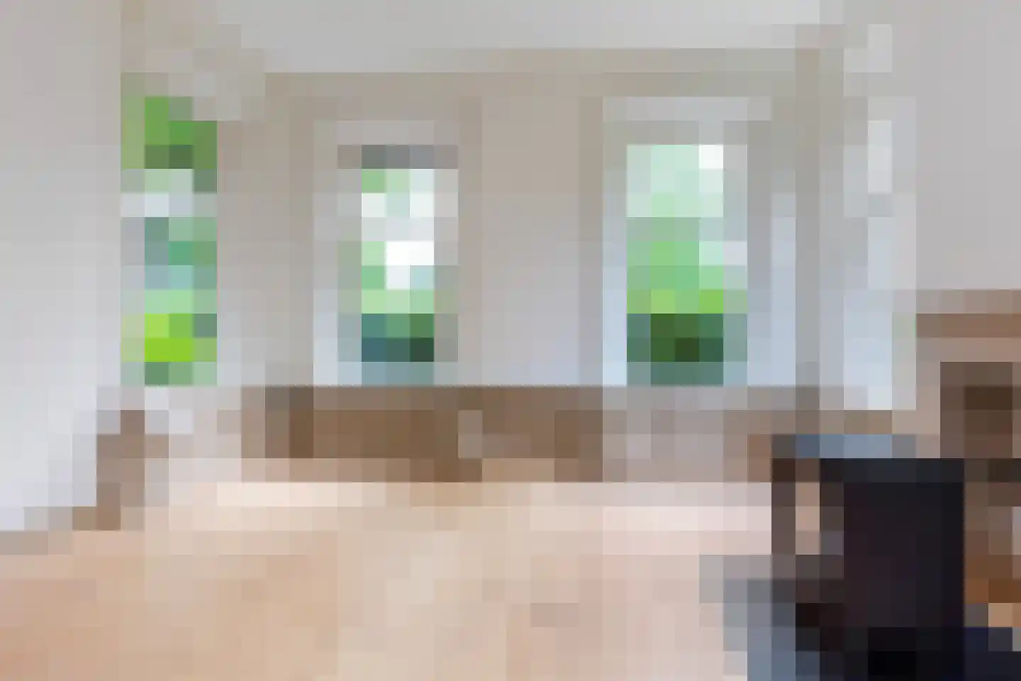 Hoofdstraat 8 Meedhuizen thumbnail 5