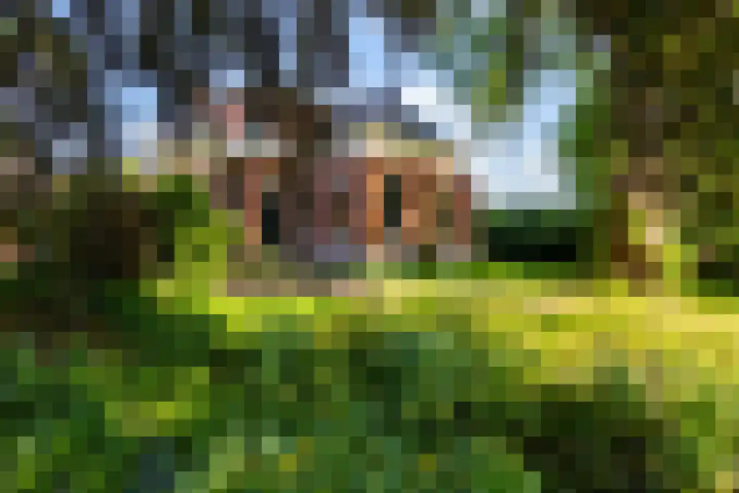 Hoofdstraat 8 Meedhuizen thumbnail 7