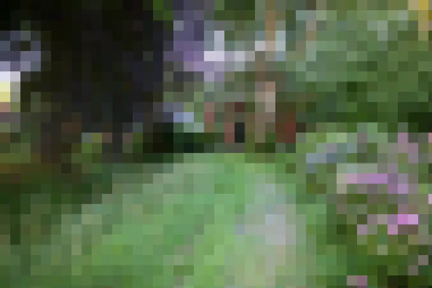Hoofdstraat 8 Meedhuizen thumbnail 8
