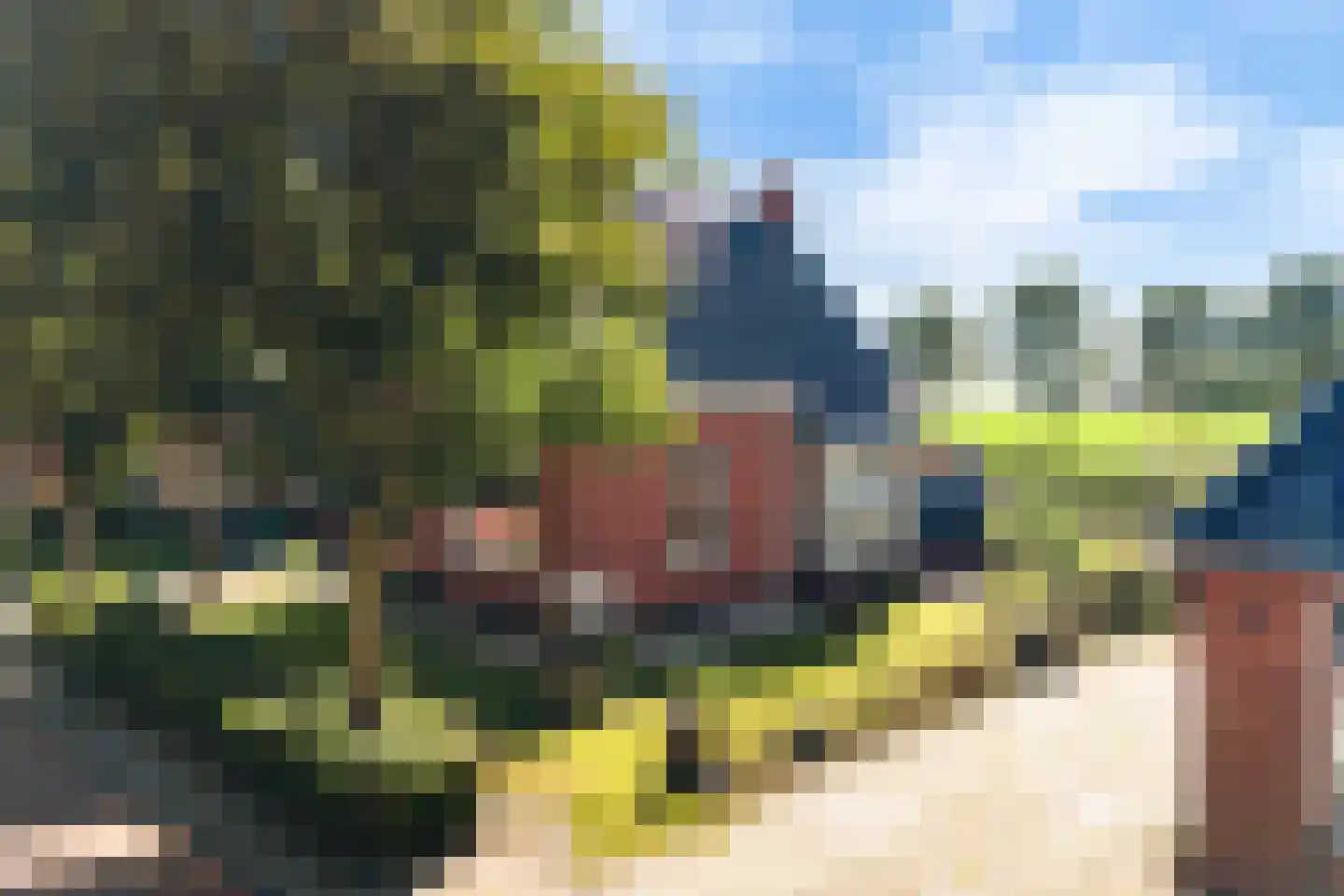 Hoofdstraat 8 Niezijl thumbnail 14
