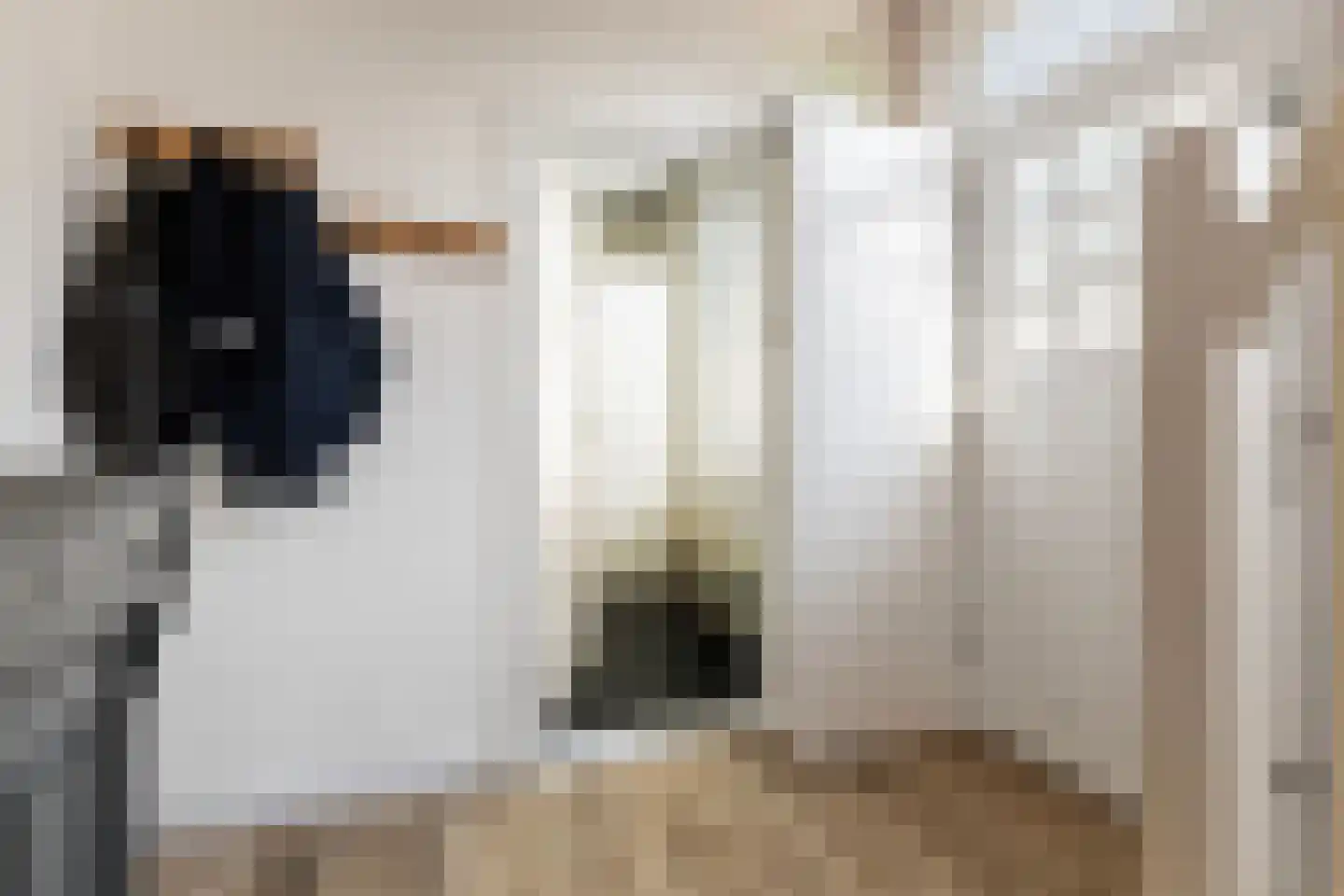Hoofdstraat 8 Niezijl thumbnail 22