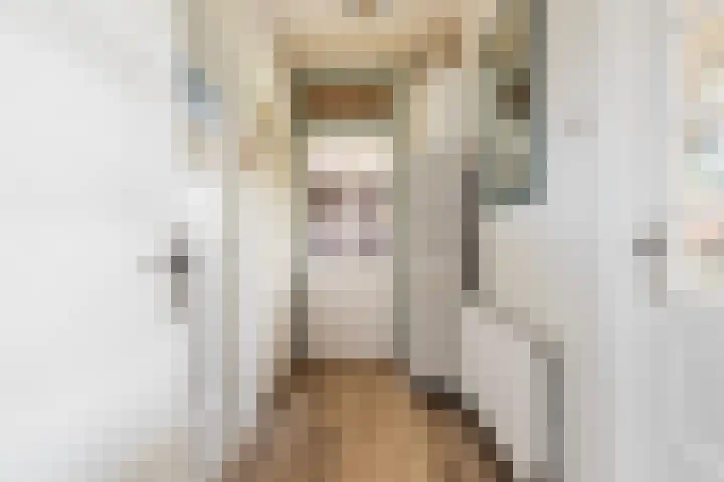 Hoofdstraat 8 Niezijl thumbnail 27