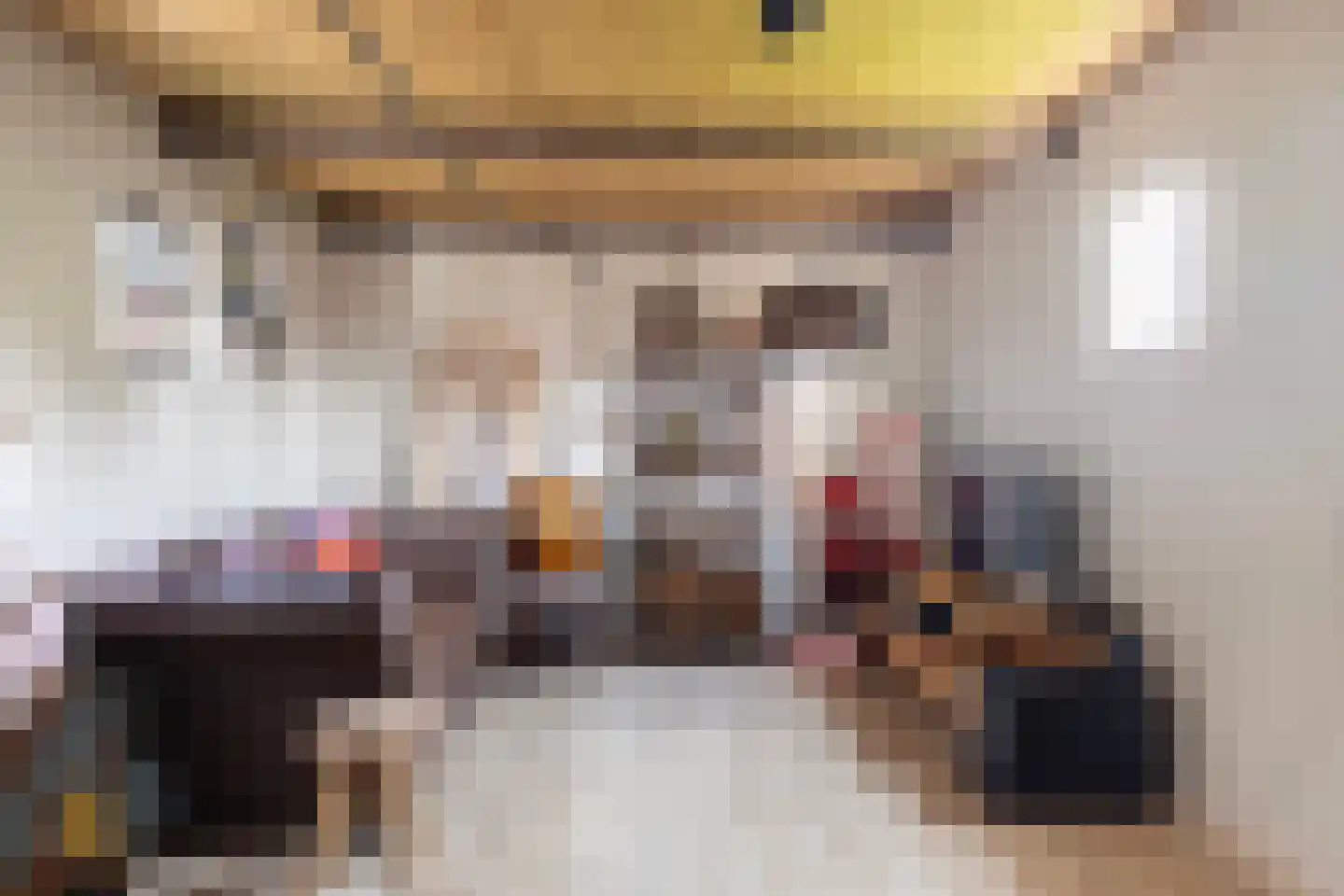 Hoofdstraat 8 Niezijl thumbnail 43