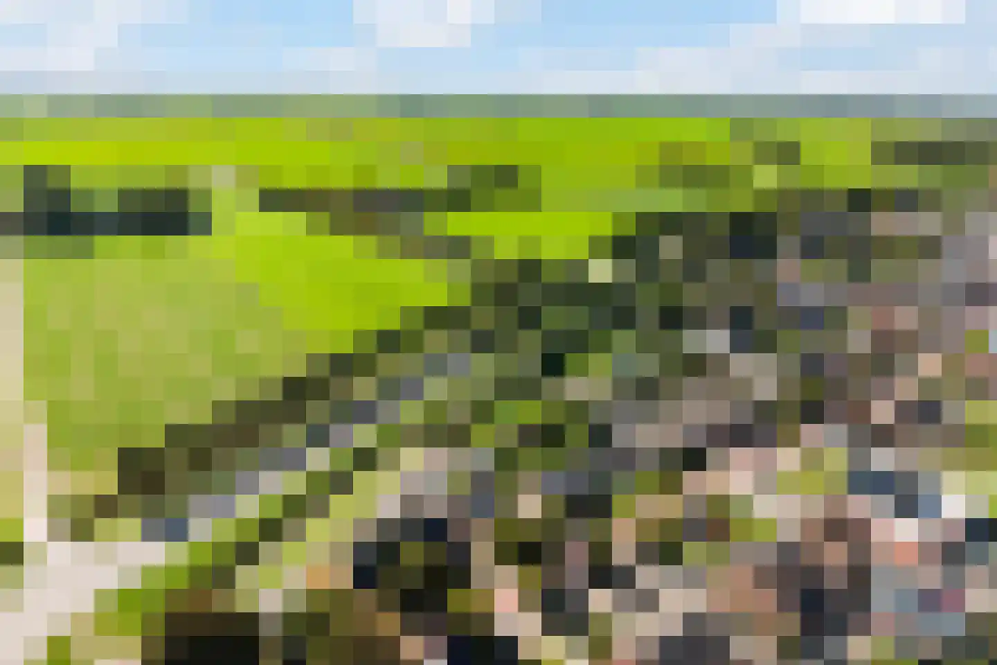 Hoofdstraat 8 Niezijl thumbnail 5