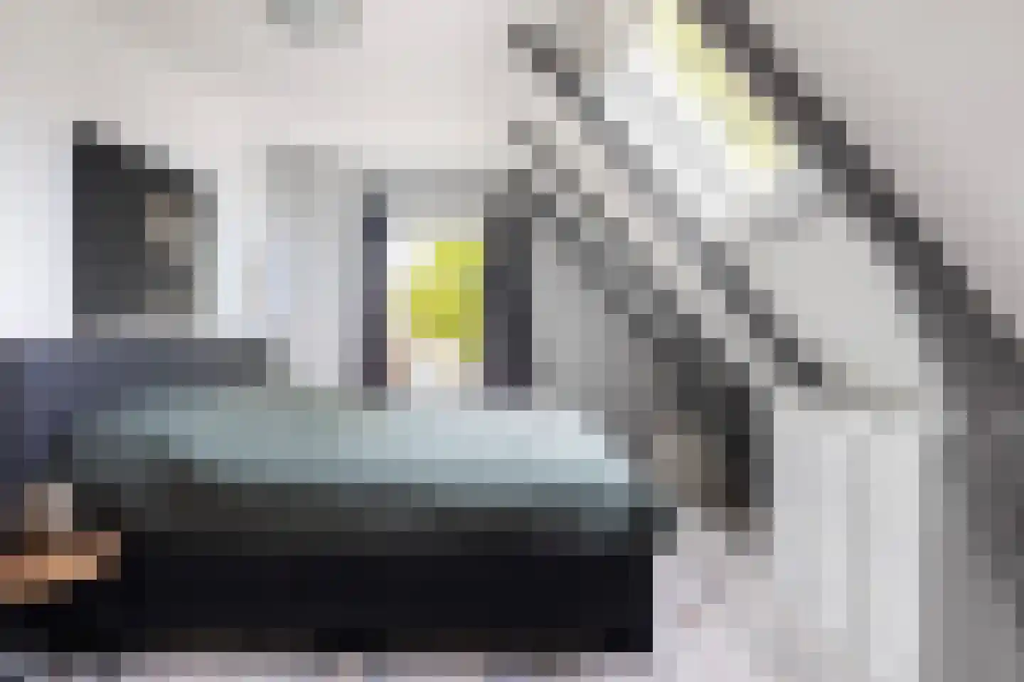 Hoofdstraat 8 Niezijl thumbnail 51