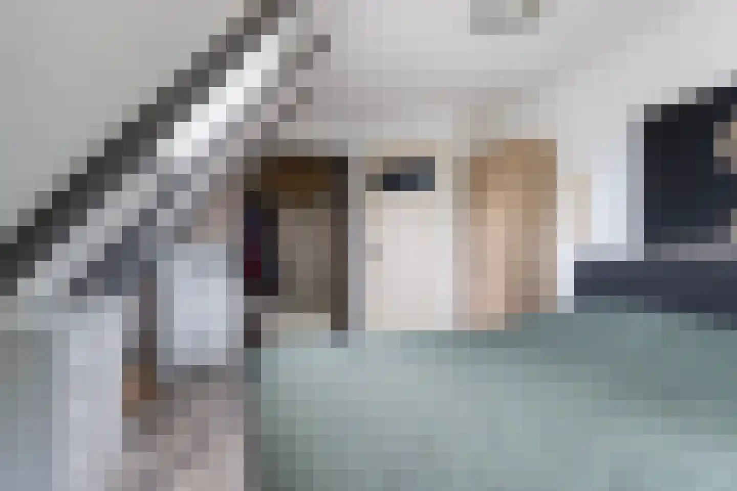 Hoofdstraat 8 Niezijl thumbnail 52