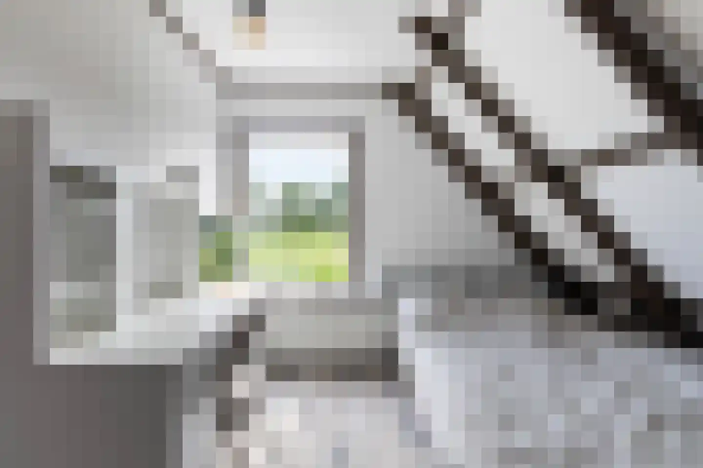 Hoofdstraat 8 Niezijl thumbnail 53