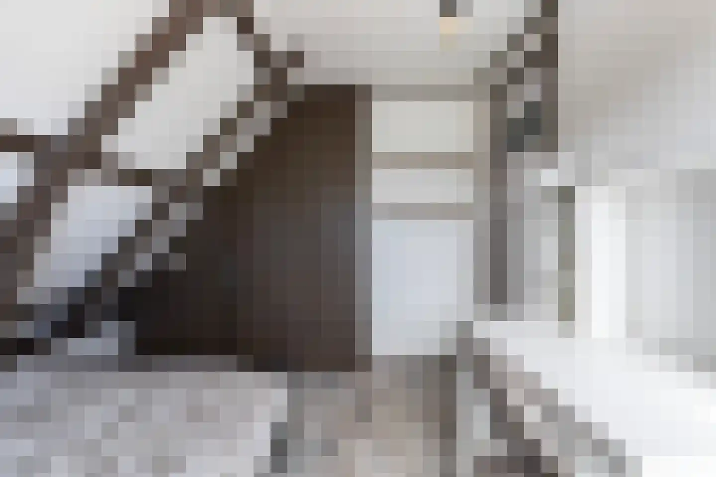 Hoofdstraat 8 Niezijl thumbnail 54