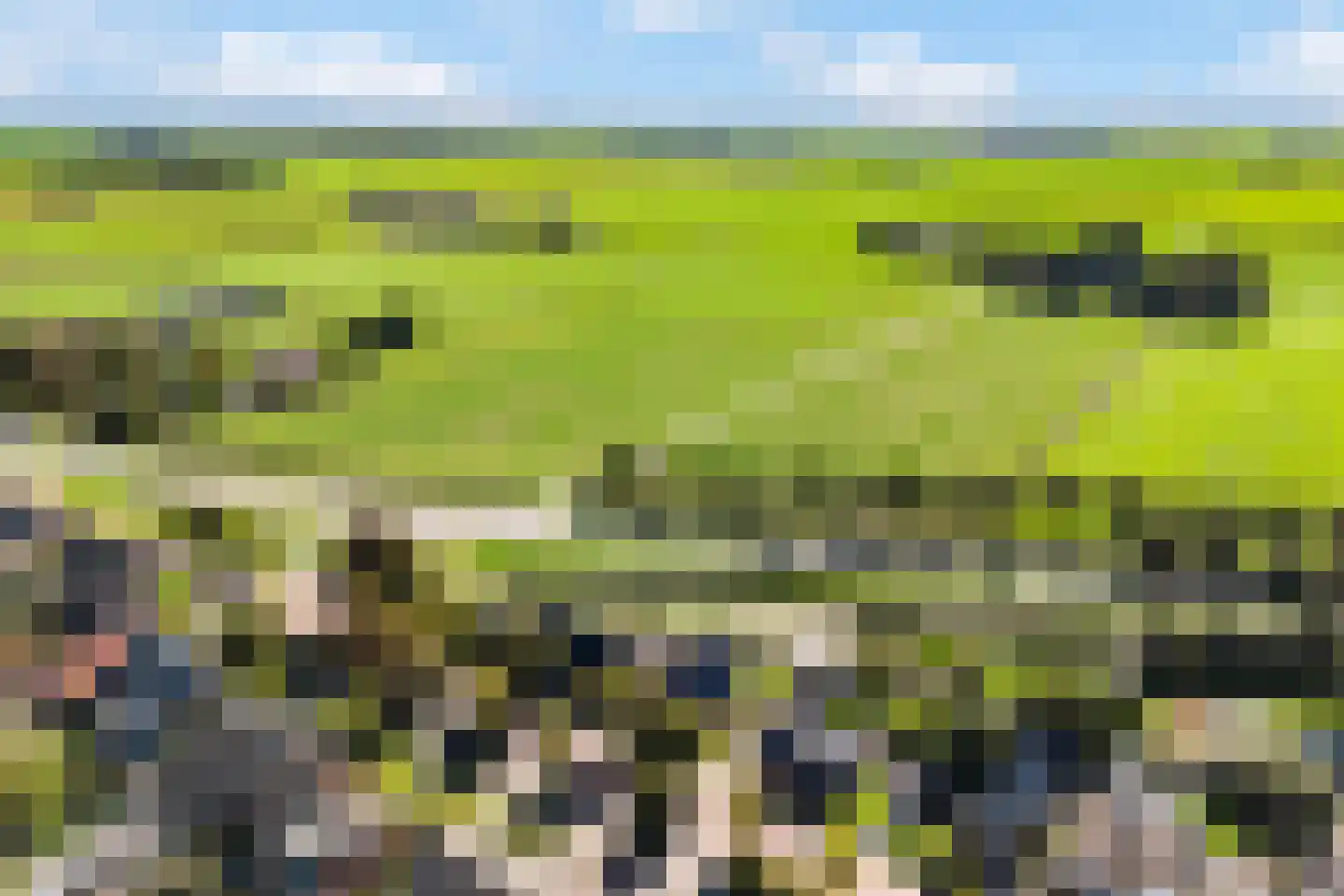 Hoofdstraat 8 Niezijl thumbnail 6