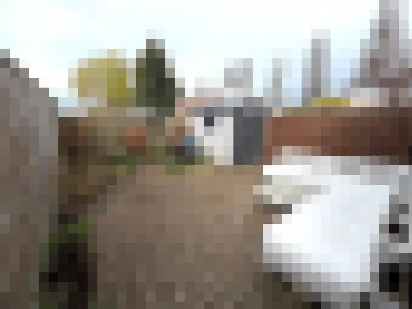 Hoofdstraat 80 Liessel thumbnail 11