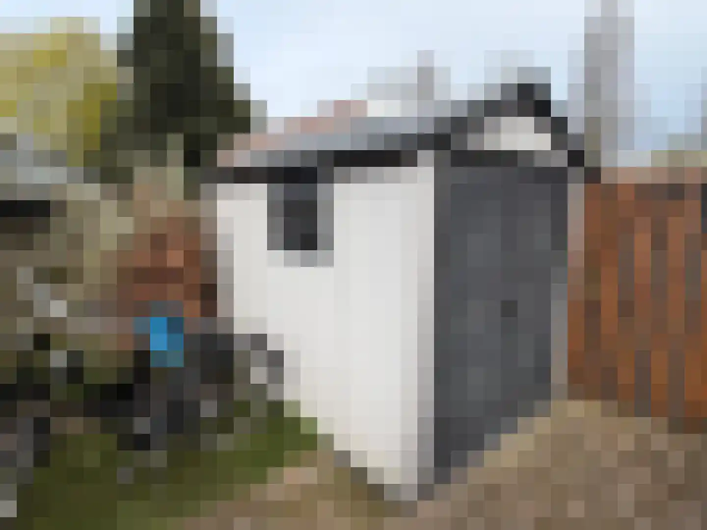 Hoofdstraat 80 Liessel thumbnail 12
