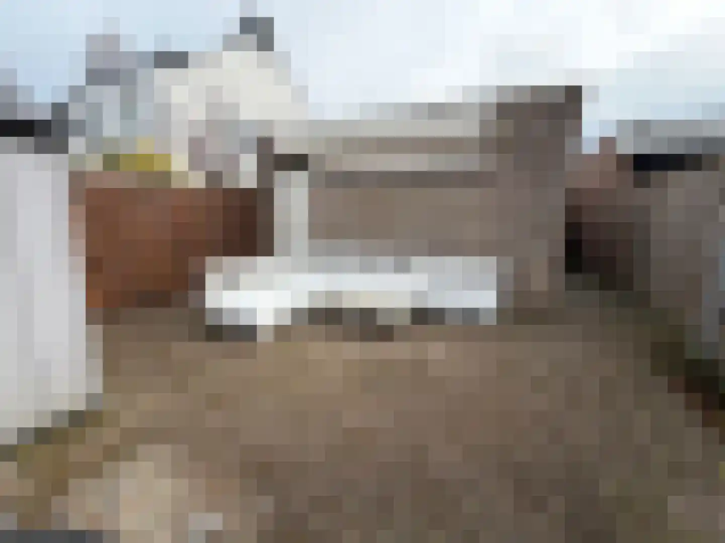 Hoofdstraat 80 Liessel thumbnail 13