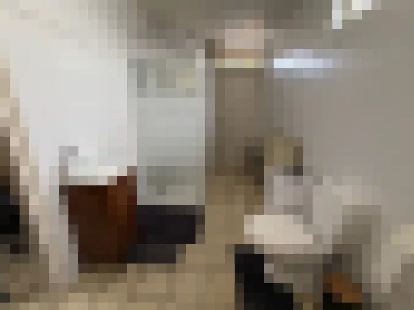 Hoofdstraat 80 Liessel thumbnail 7