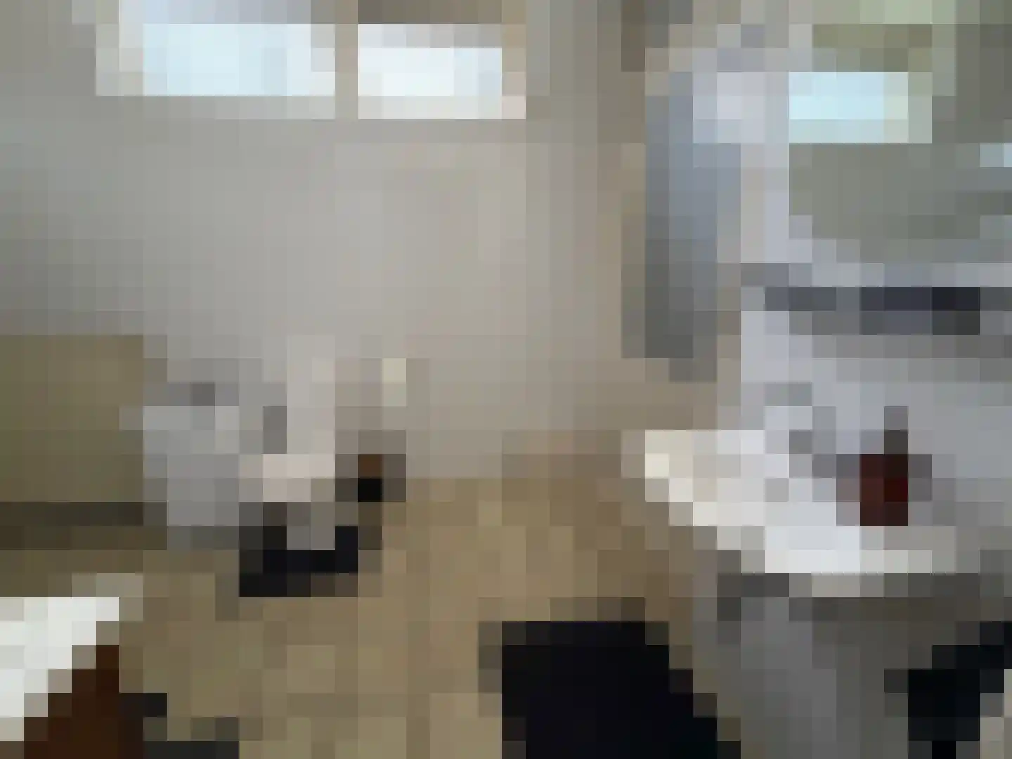 Hoofdstraat 80 Liessel thumbnail 8