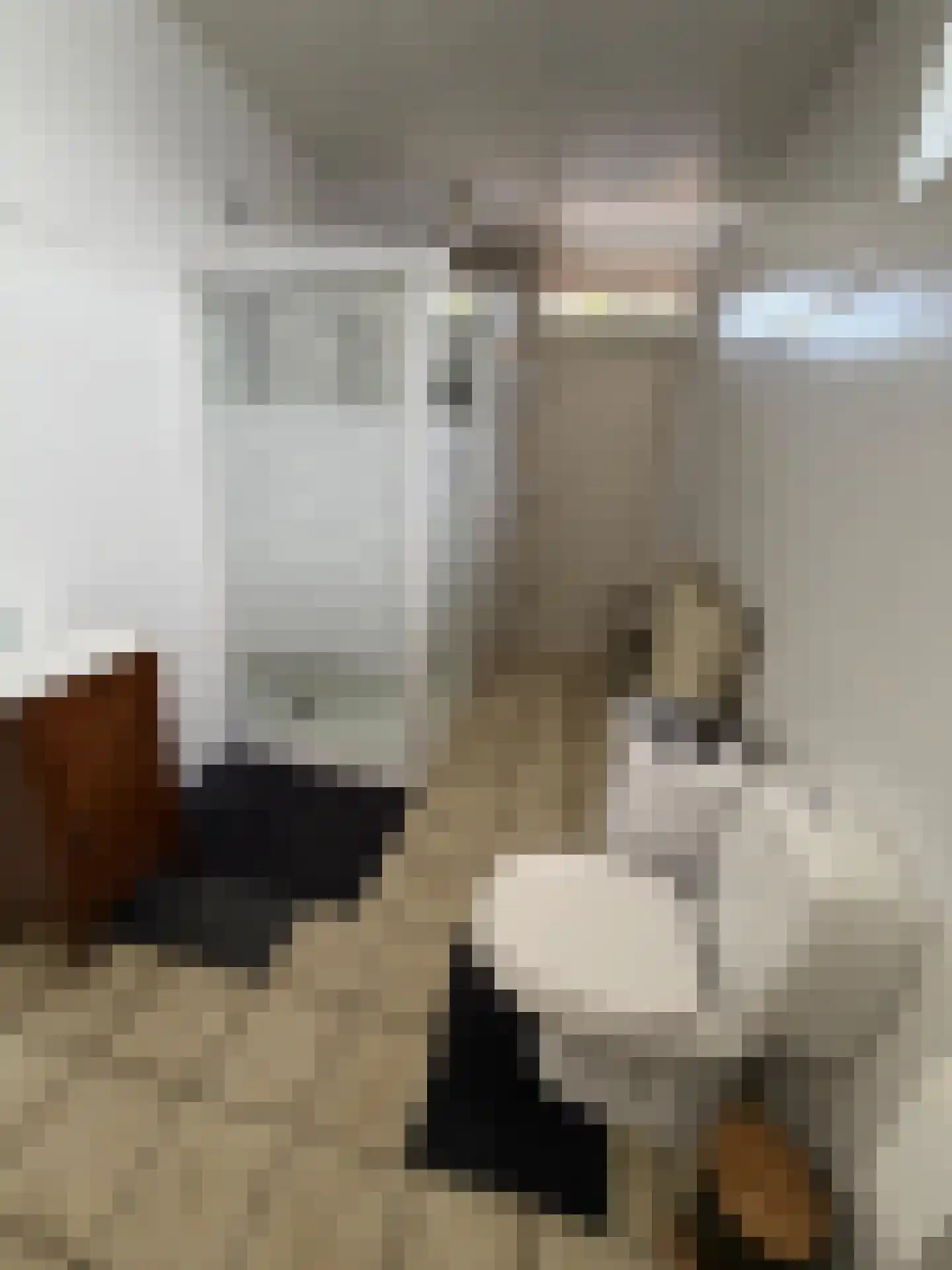 Hoofdstraat 80 Liessel thumbnail 9