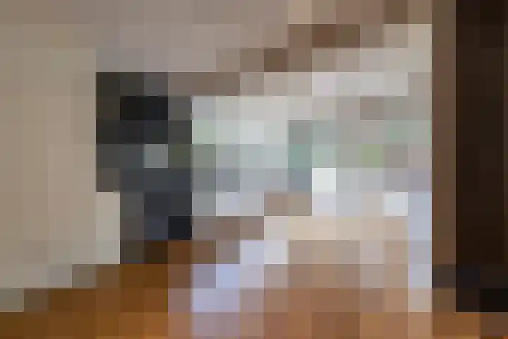 Hoofdstraat 80 Tolbert thumbnail 17