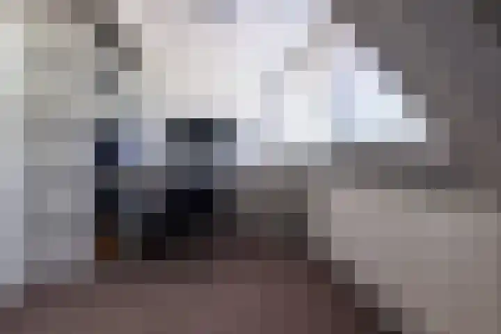 Hoofdstraat 80 Tolbert thumbnail 41