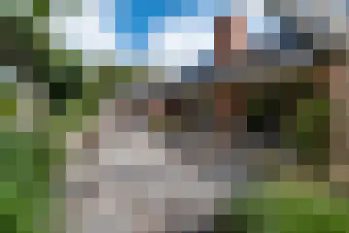 Hoofdstraat 80 Tolbert thumbnail 48