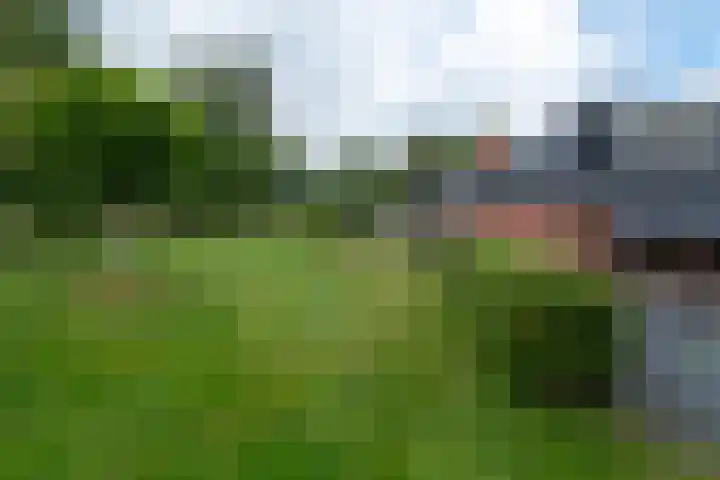 Hoofdstraat 80 Tolbert thumbnail 51