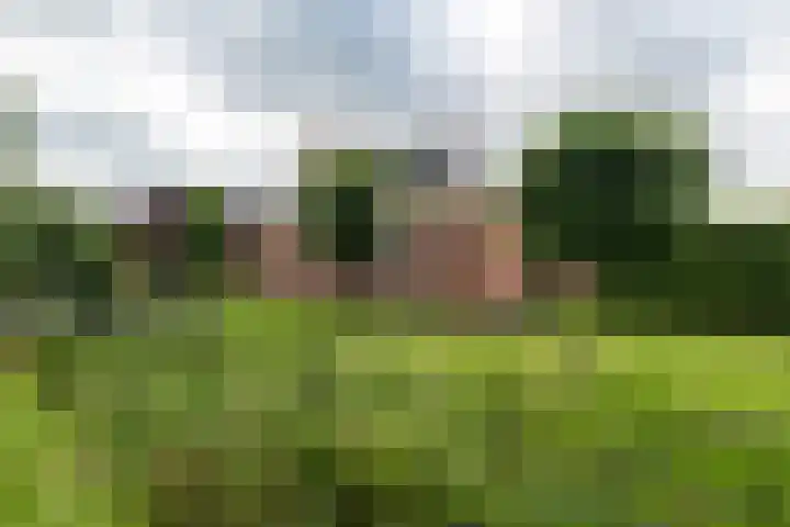 Hoofdstraat 80 Tolbert thumbnail 6