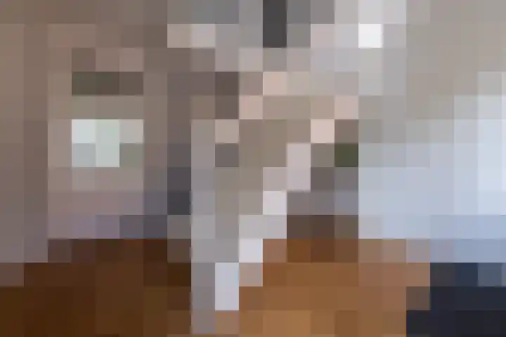 Hoofdstraat 80 Tolbert thumbnail 8
