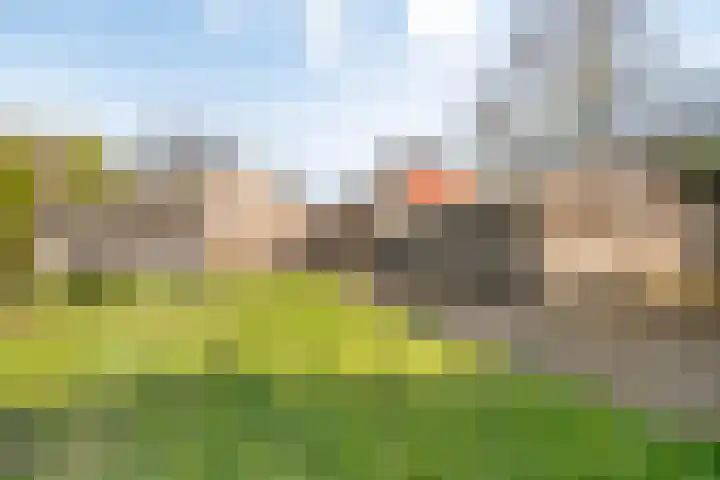 Hoofdstraat 80 Zuidwolde thumbnail 48