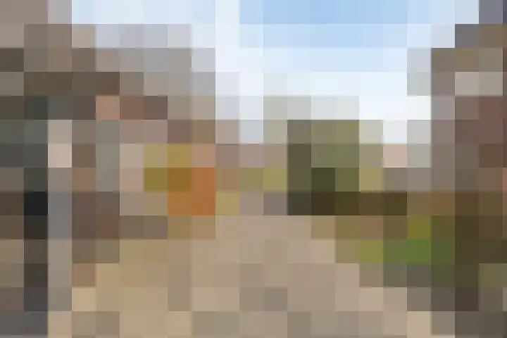Hoofdstraat 80 Zuidwolde thumbnail 60