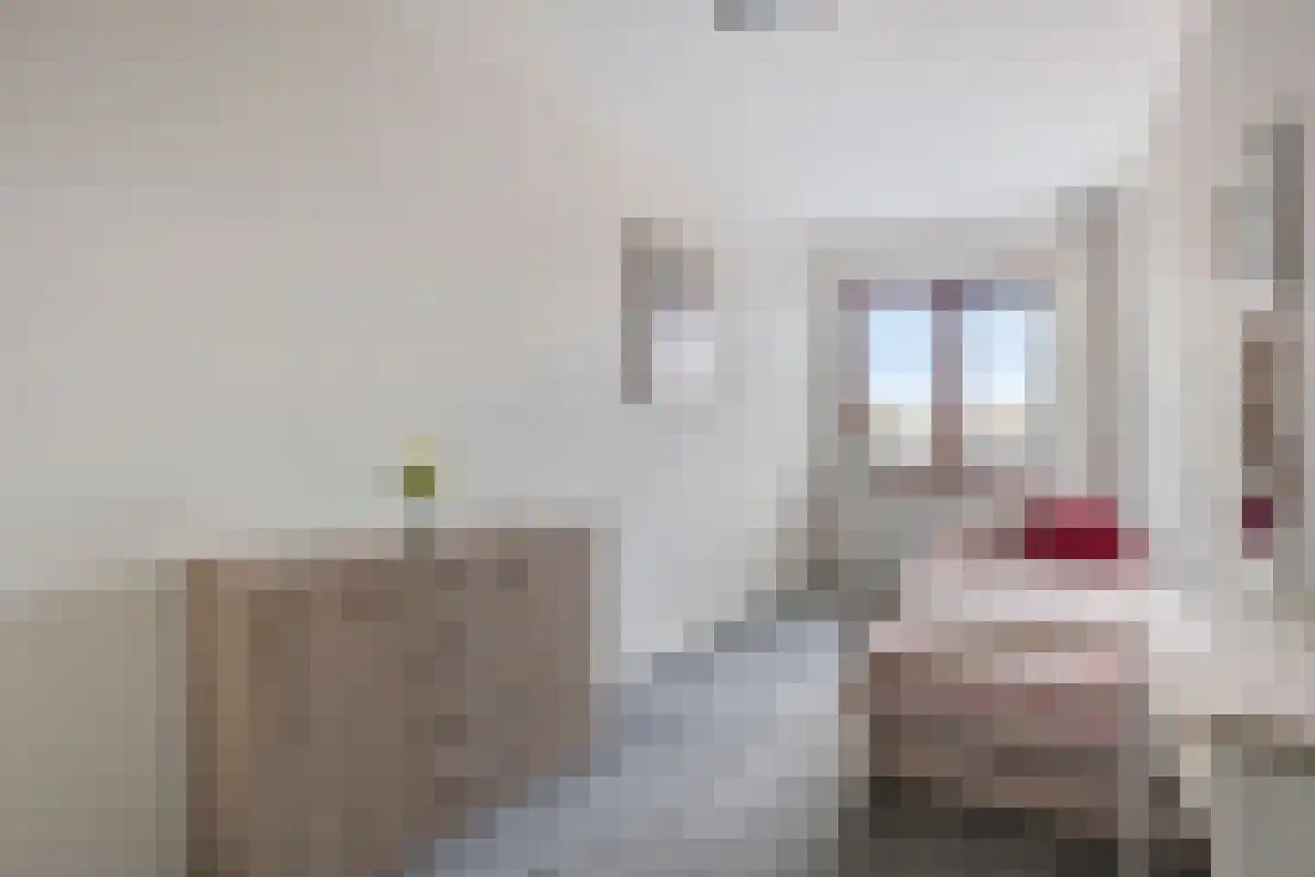 Hoofdstraat 81 D Kaatsheuvel thumbnail 30