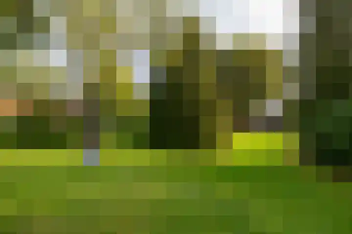 Hoofdstraat 82 f Gasselternijveen thumbnail 5