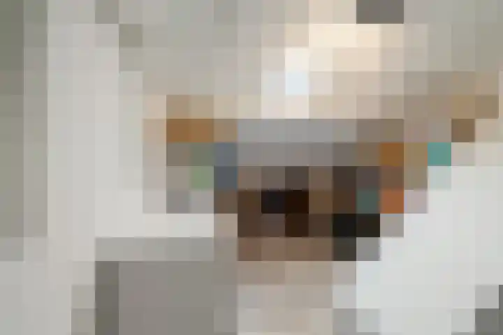 Hoofdstraat 82 Gasselternijveen thumbnail 24