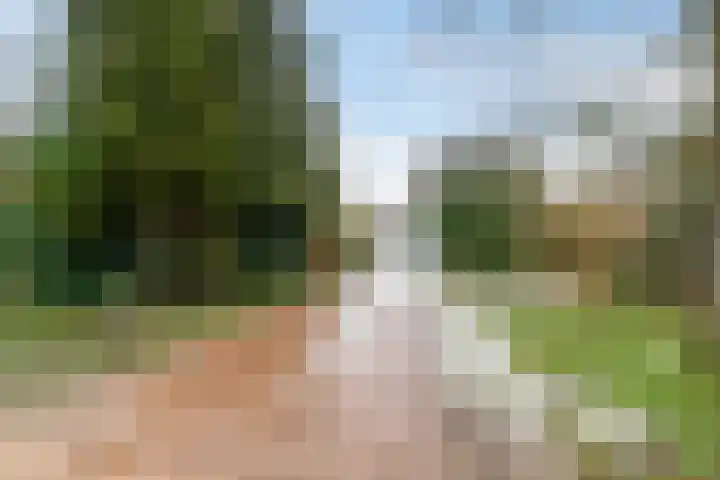 Hoofdstraat 82 Gasselternijveen thumbnail 45