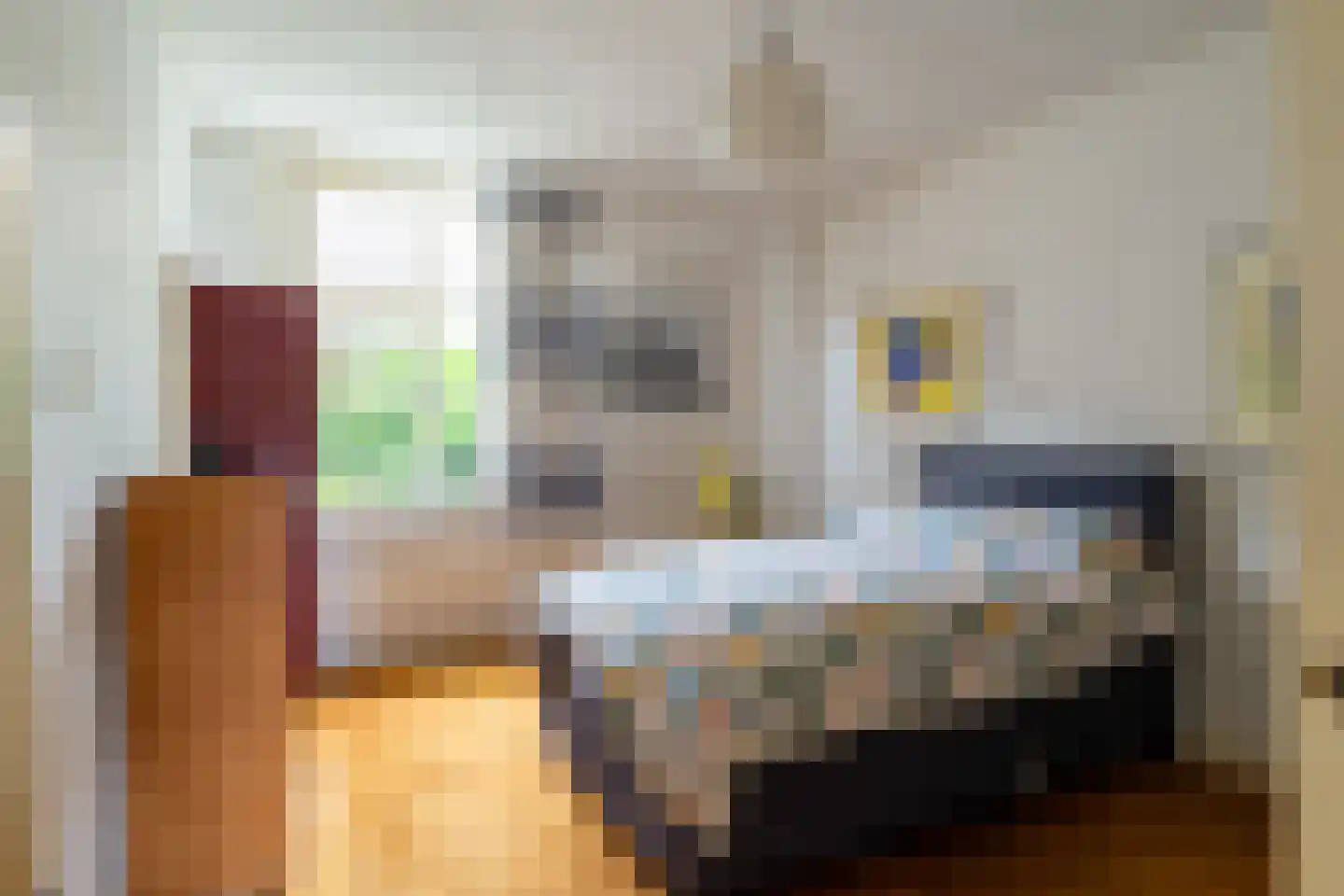Hoofdstraat 83 Sprang-Capelle thumbnail 17
