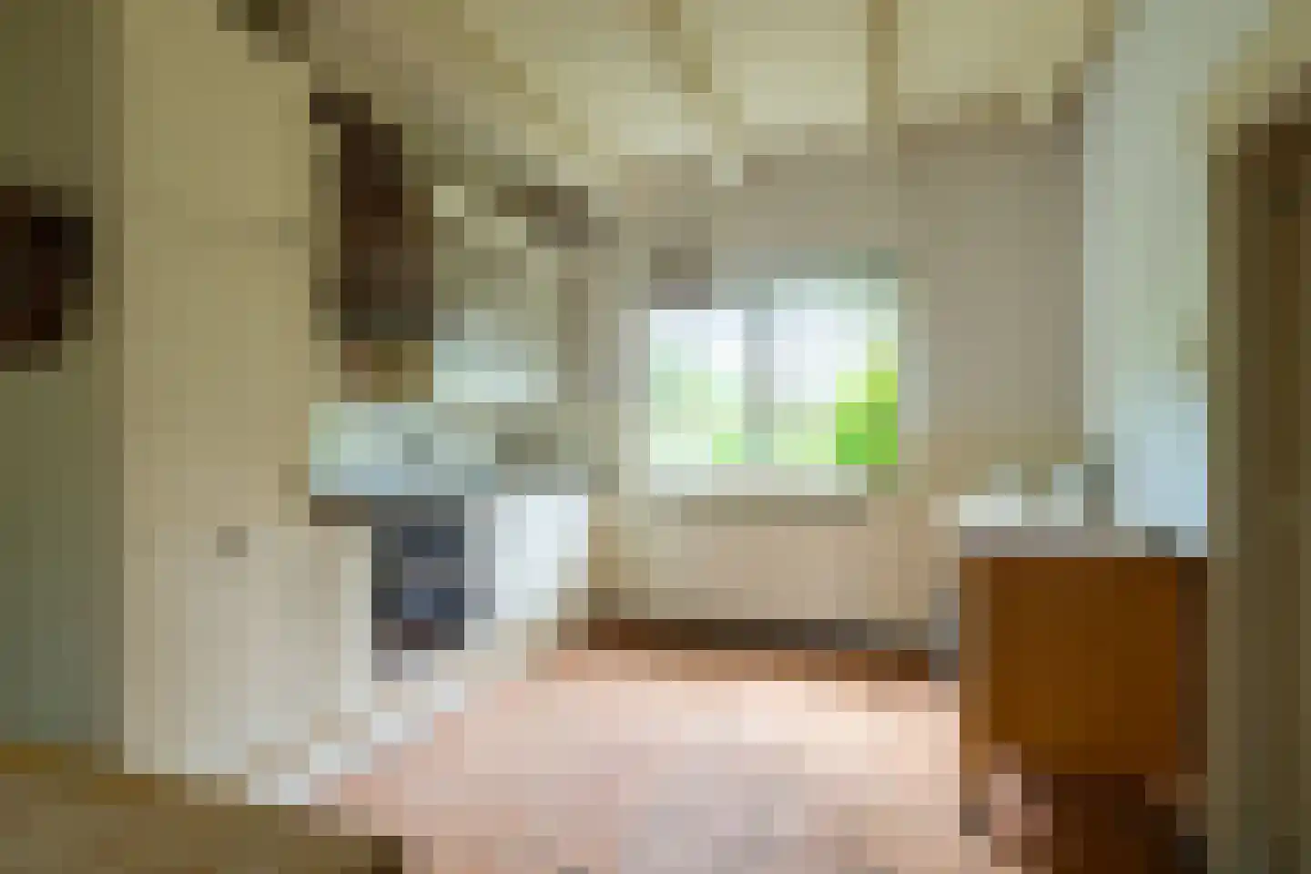 Hoofdstraat 83 Sprang-Capelle thumbnail 19