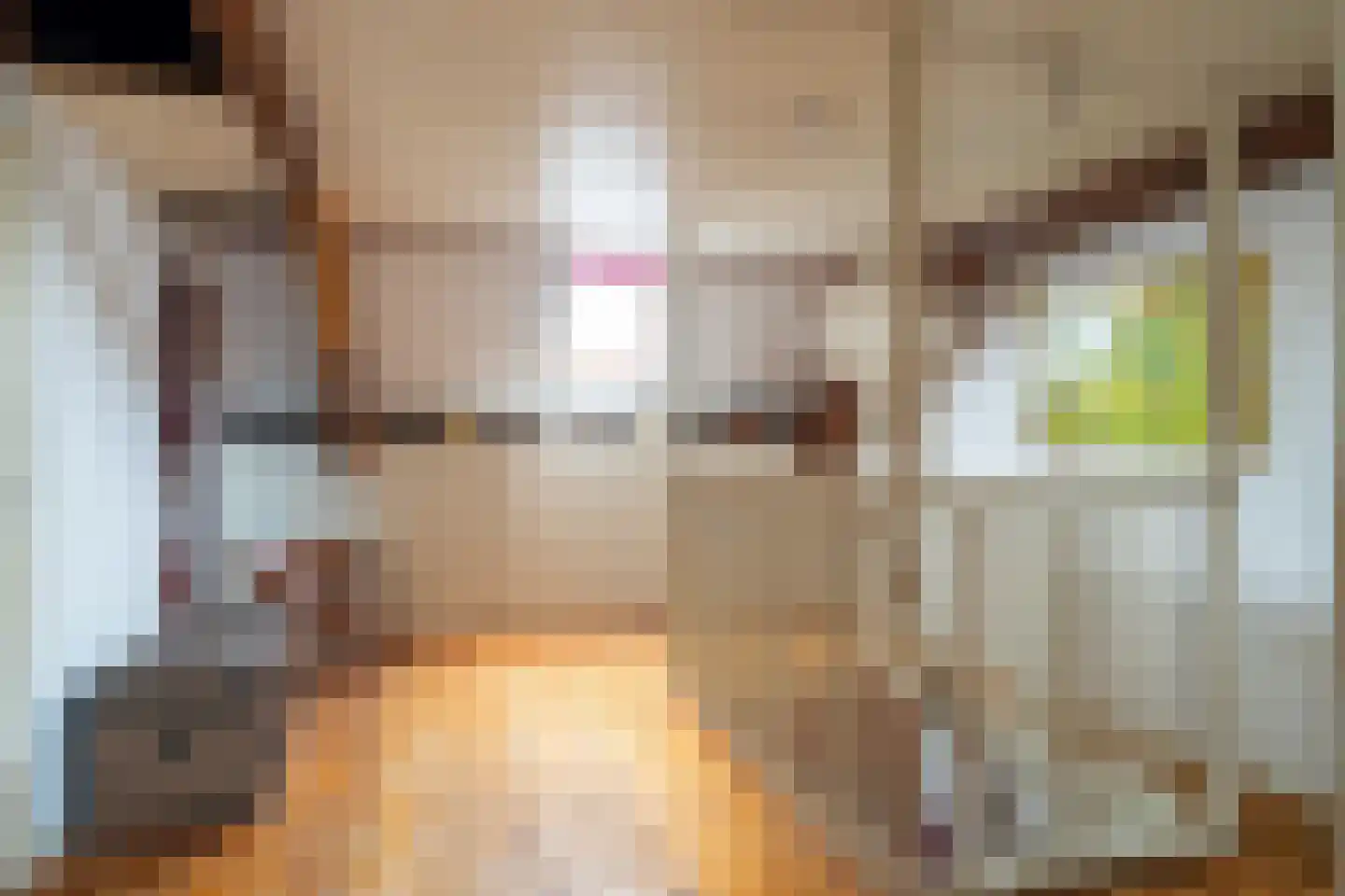 Hoofdstraat 83 Sprang-Capelle thumbnail 24