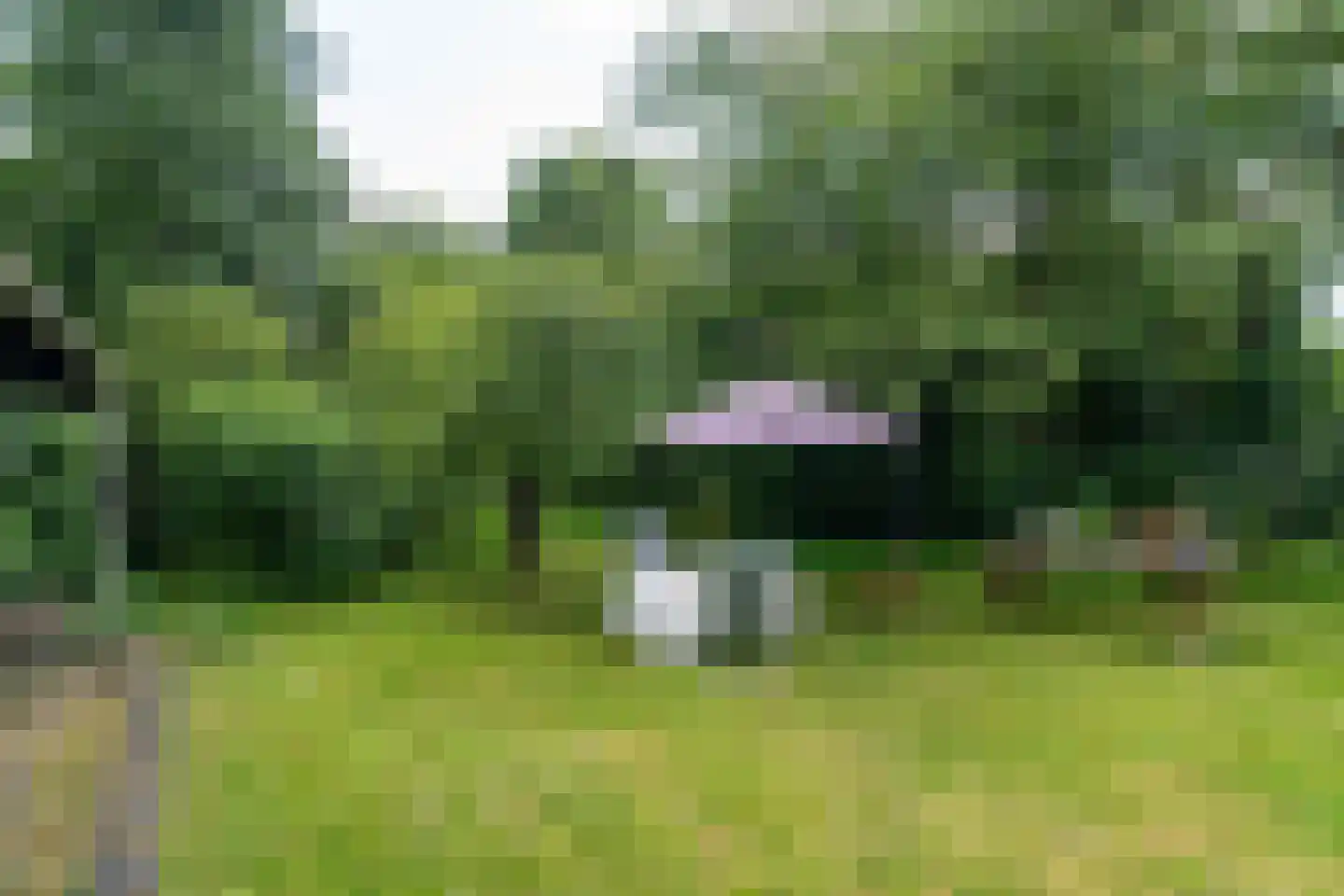 Hoofdstraat 83 Sprang-Capelle thumbnail 36
