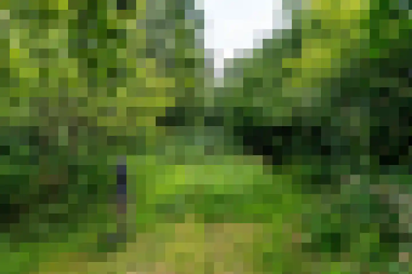 Hoofdstraat 83 Sprang-Capelle thumbnail 37