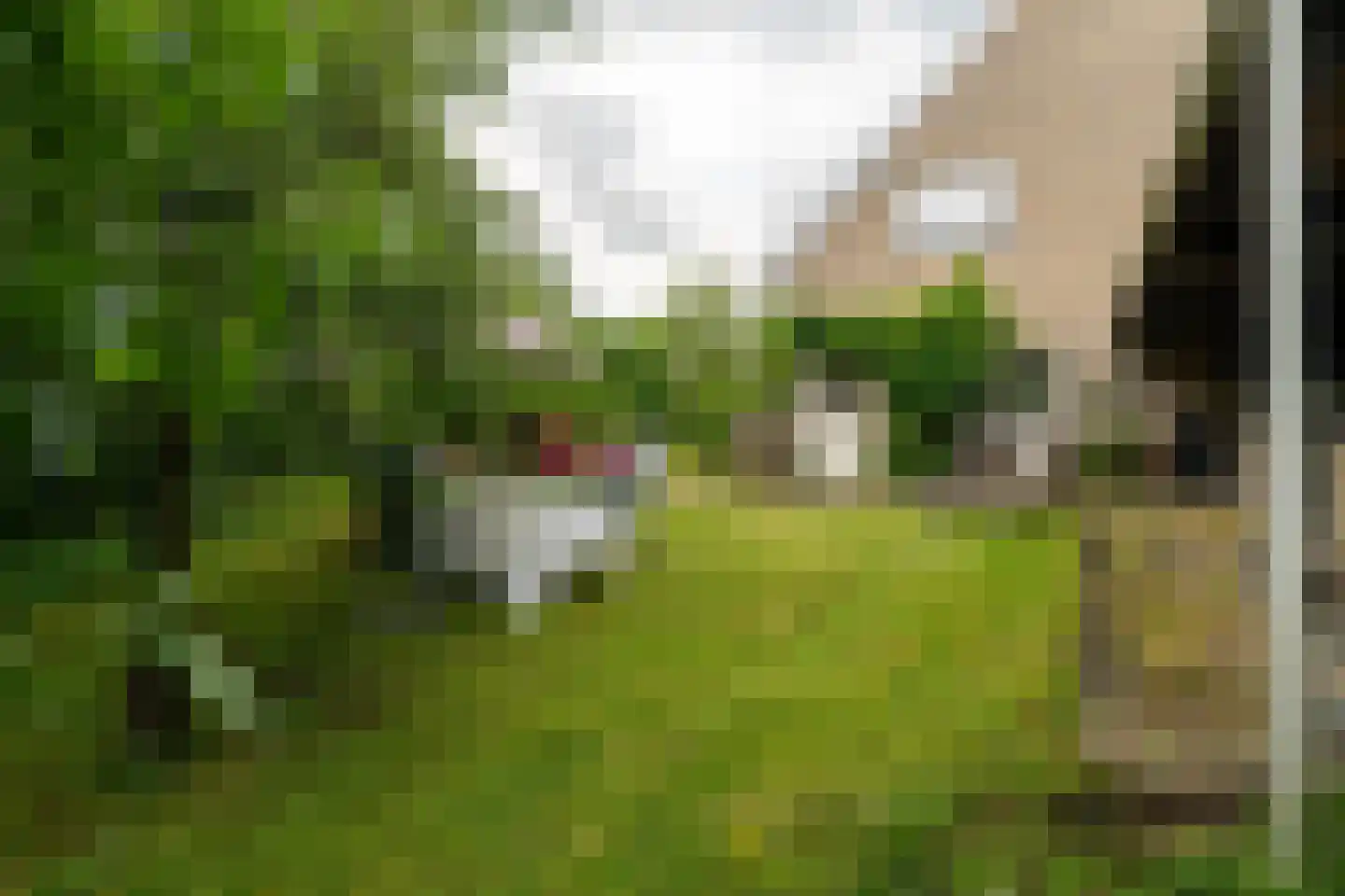 Hoofdstraat 83 Sprang-Capelle thumbnail 38