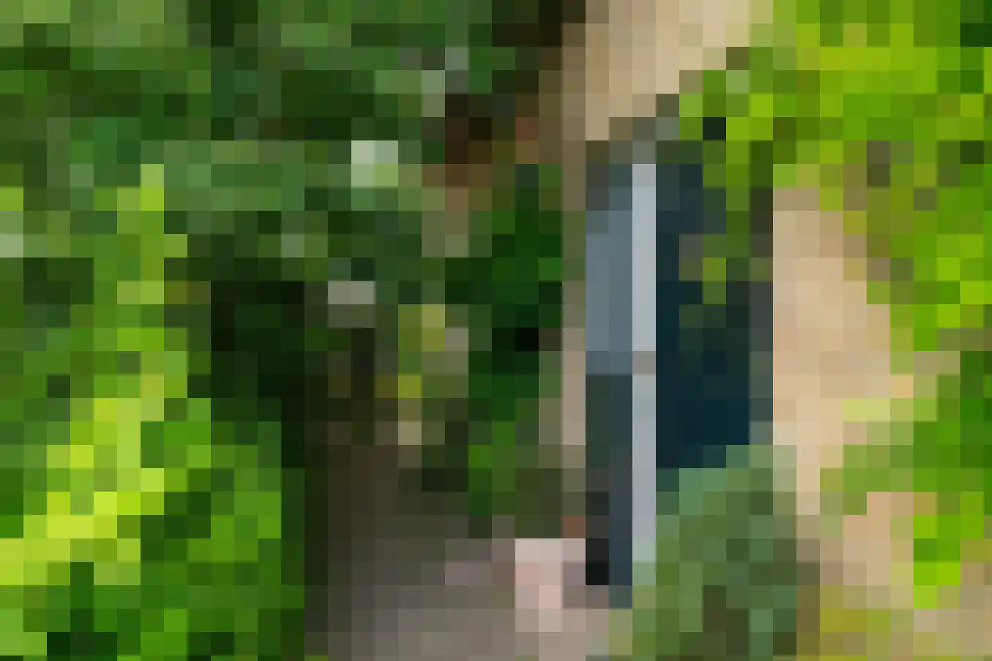 Hoofdstraat 83 Sprang-Capelle thumbnail 6