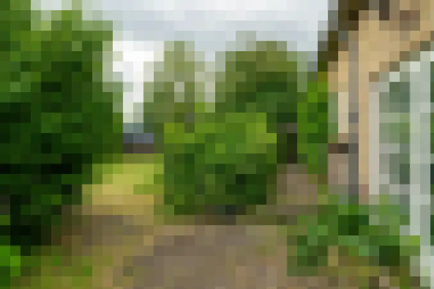 Hoofdstraat 83 Sprang-Capelle thumbnail 7