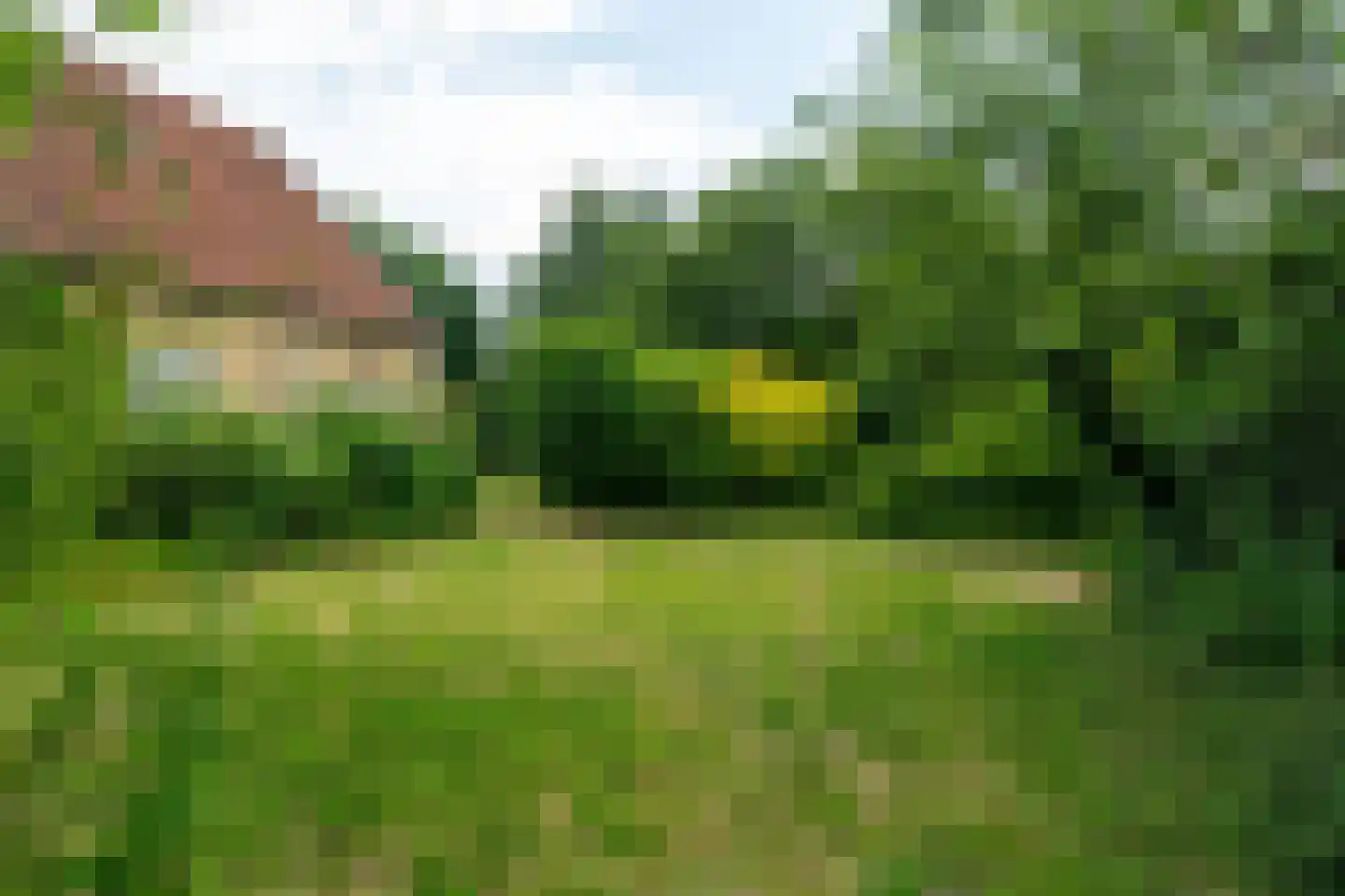 Hoofdstraat 83 Sprang-Capelle thumbnail 8