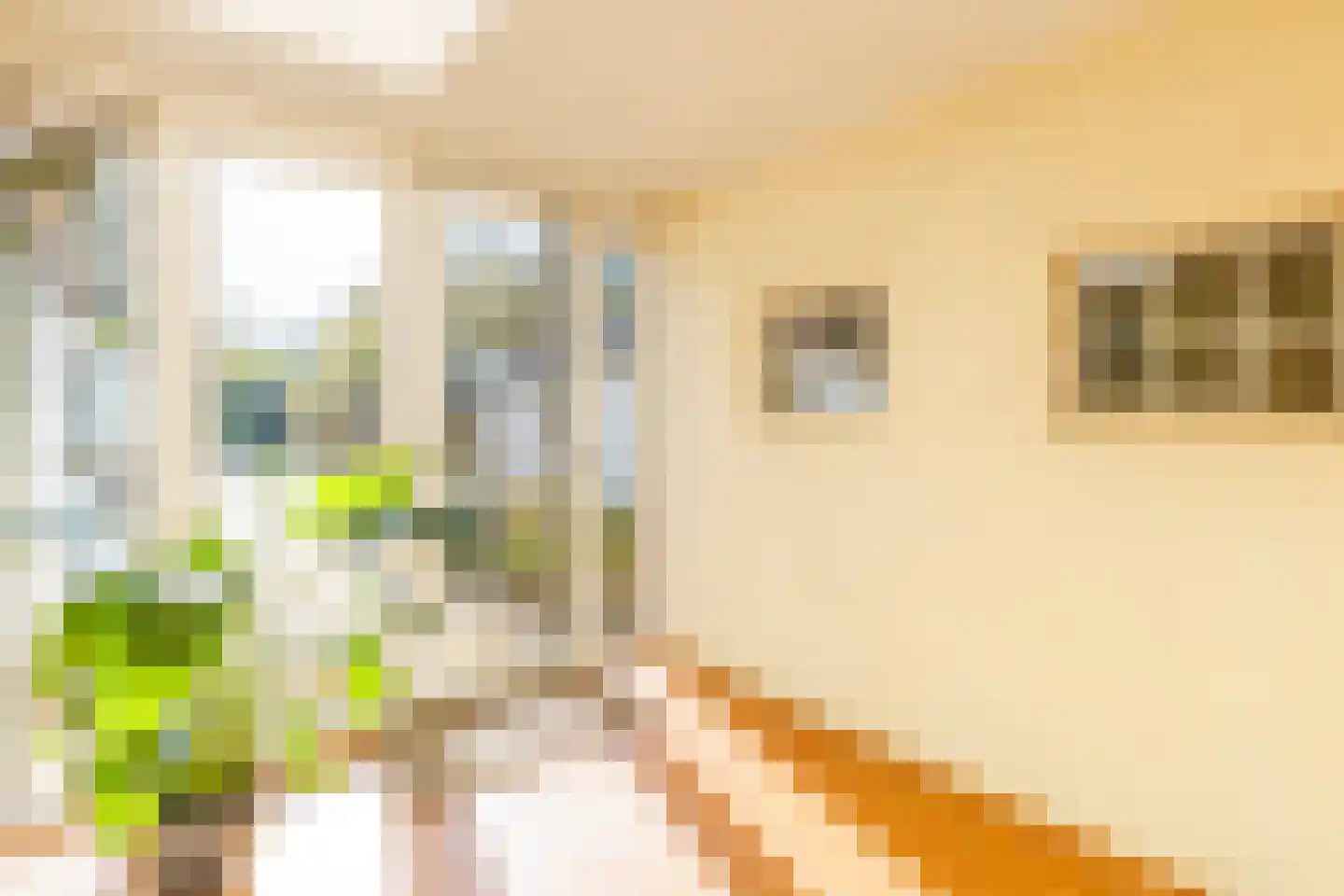 Hoofdstraat 84 Gaanderen thumbnail 13