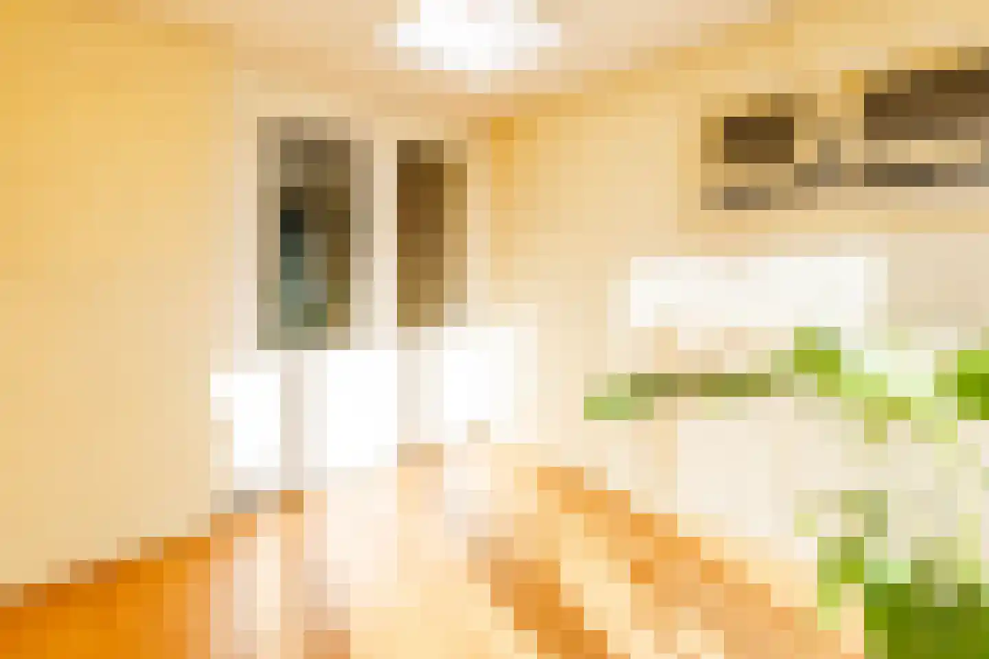 Hoofdstraat 84 Gaanderen thumbnail 14