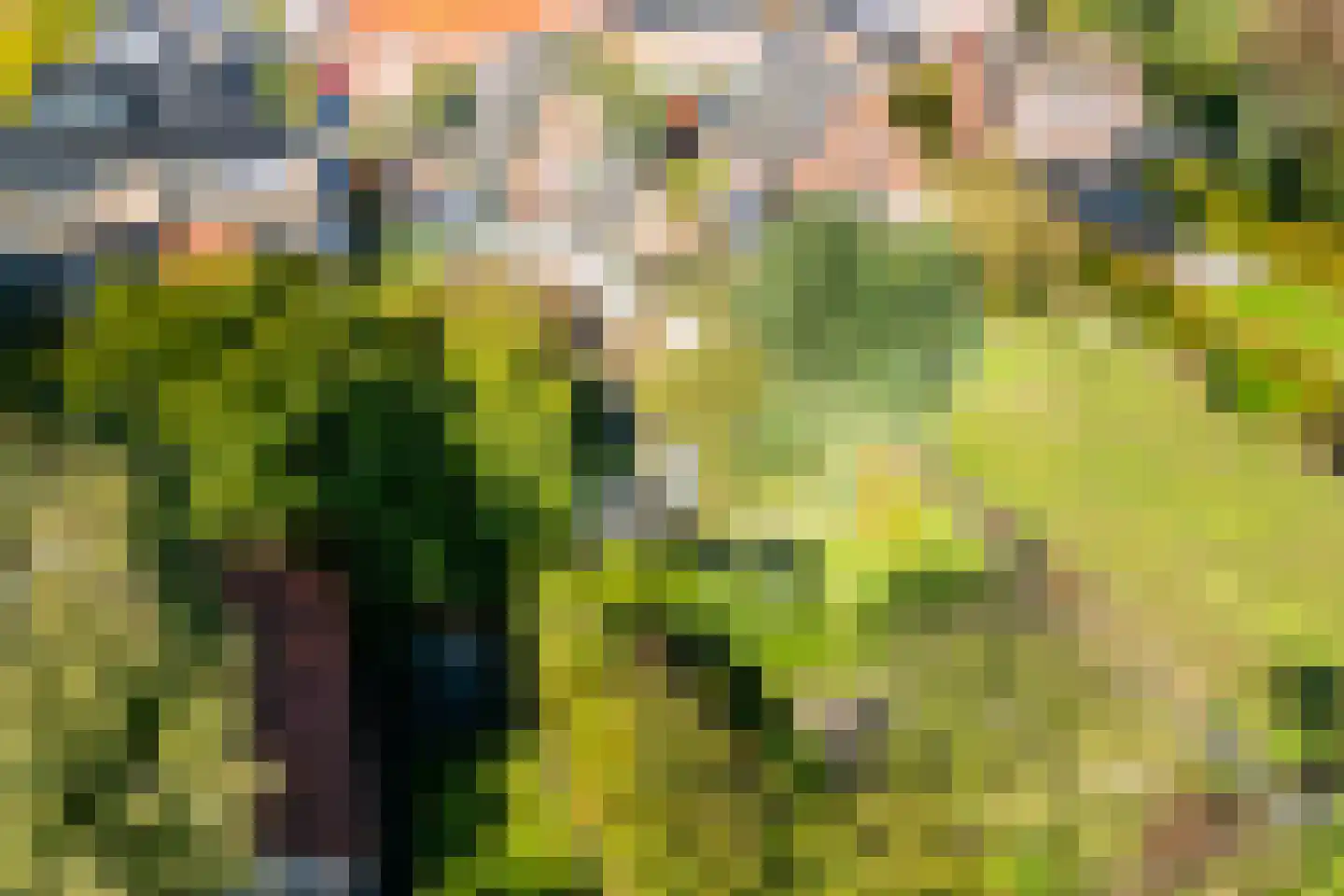 Hoofdstraat 84 Gaanderen thumbnail 56