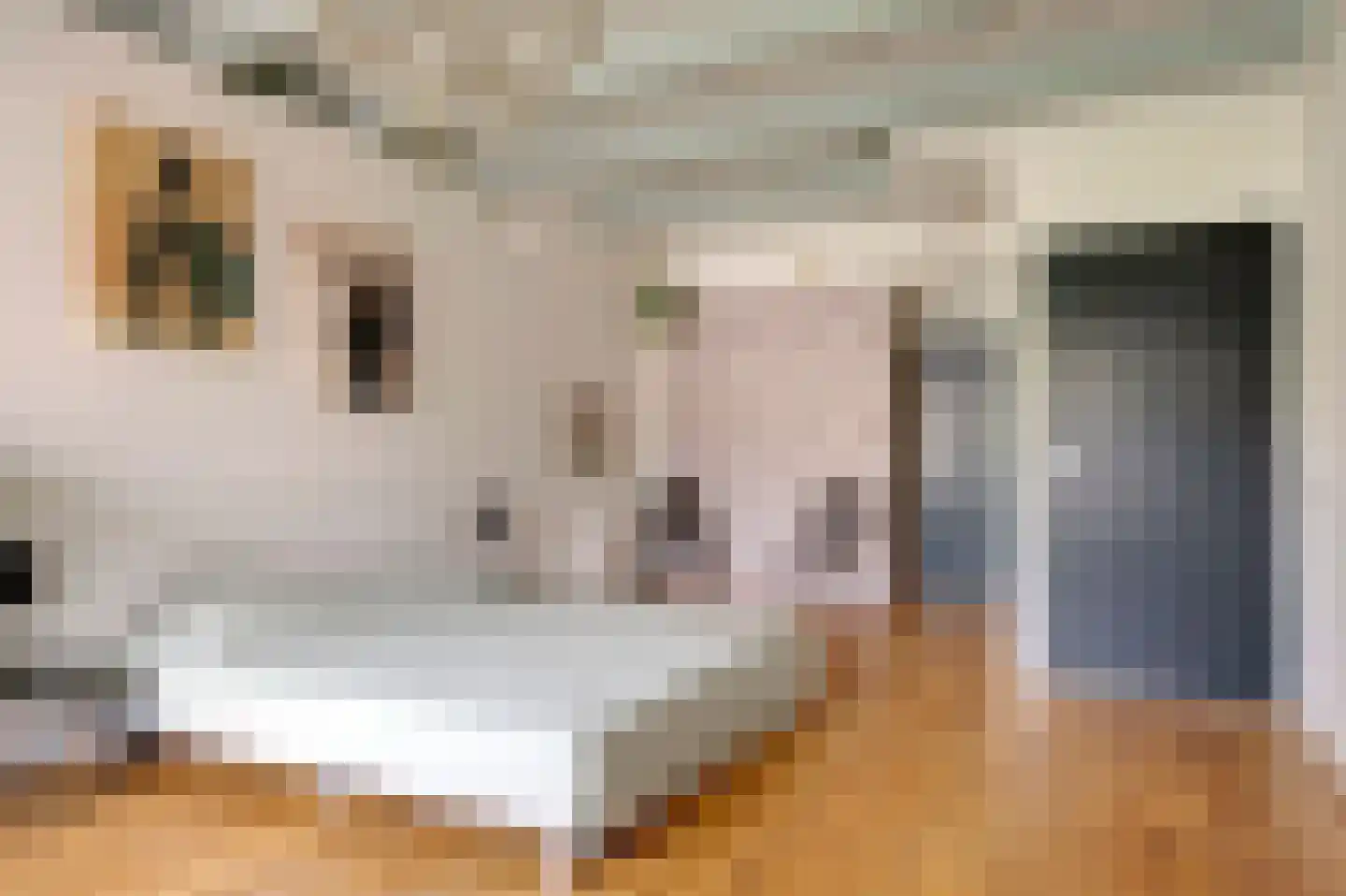 Hoofdstraat 84 Nieuwolda thumbnail 10