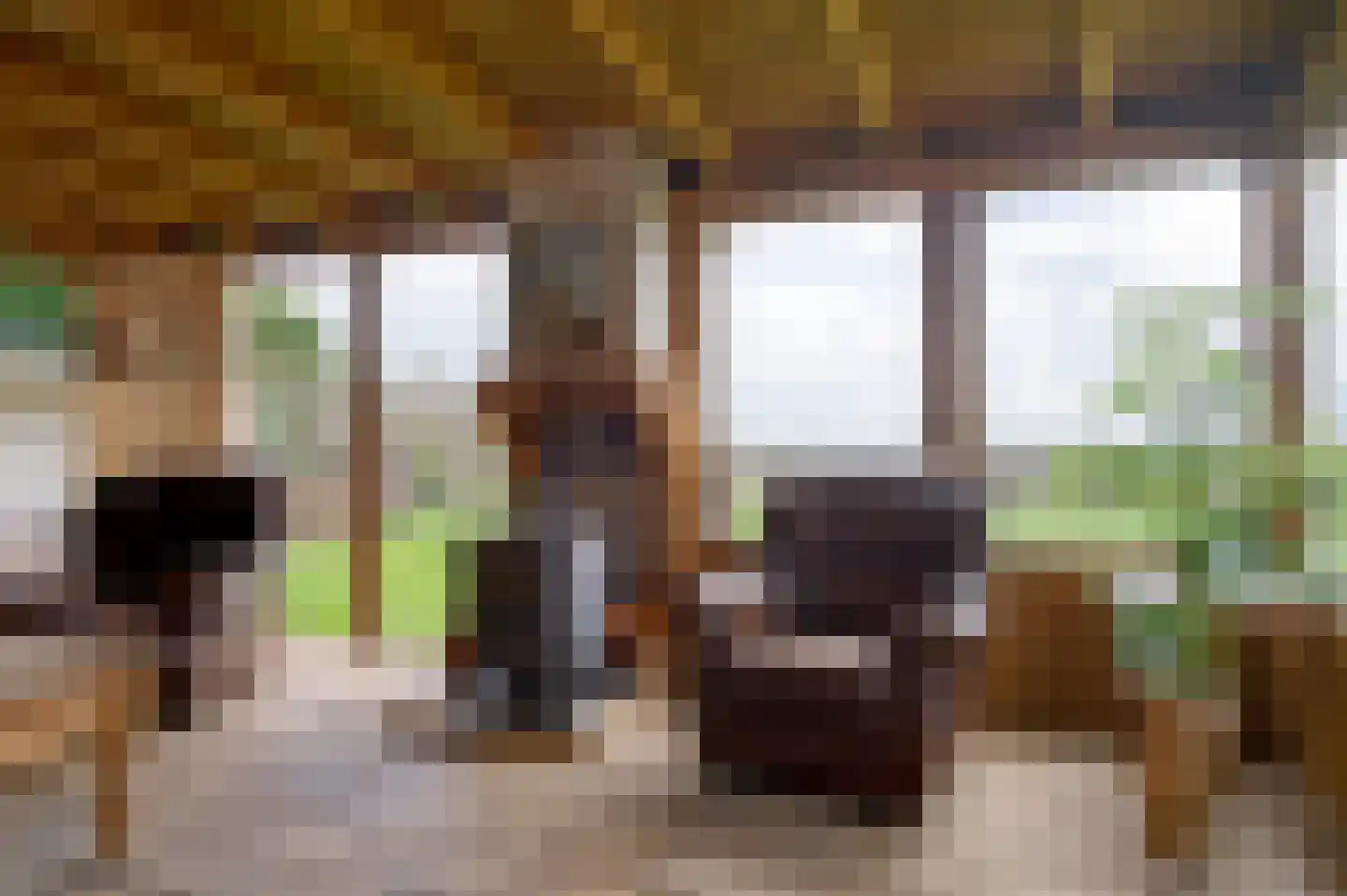Hoofdstraat 84 Nieuwolda thumbnail 20